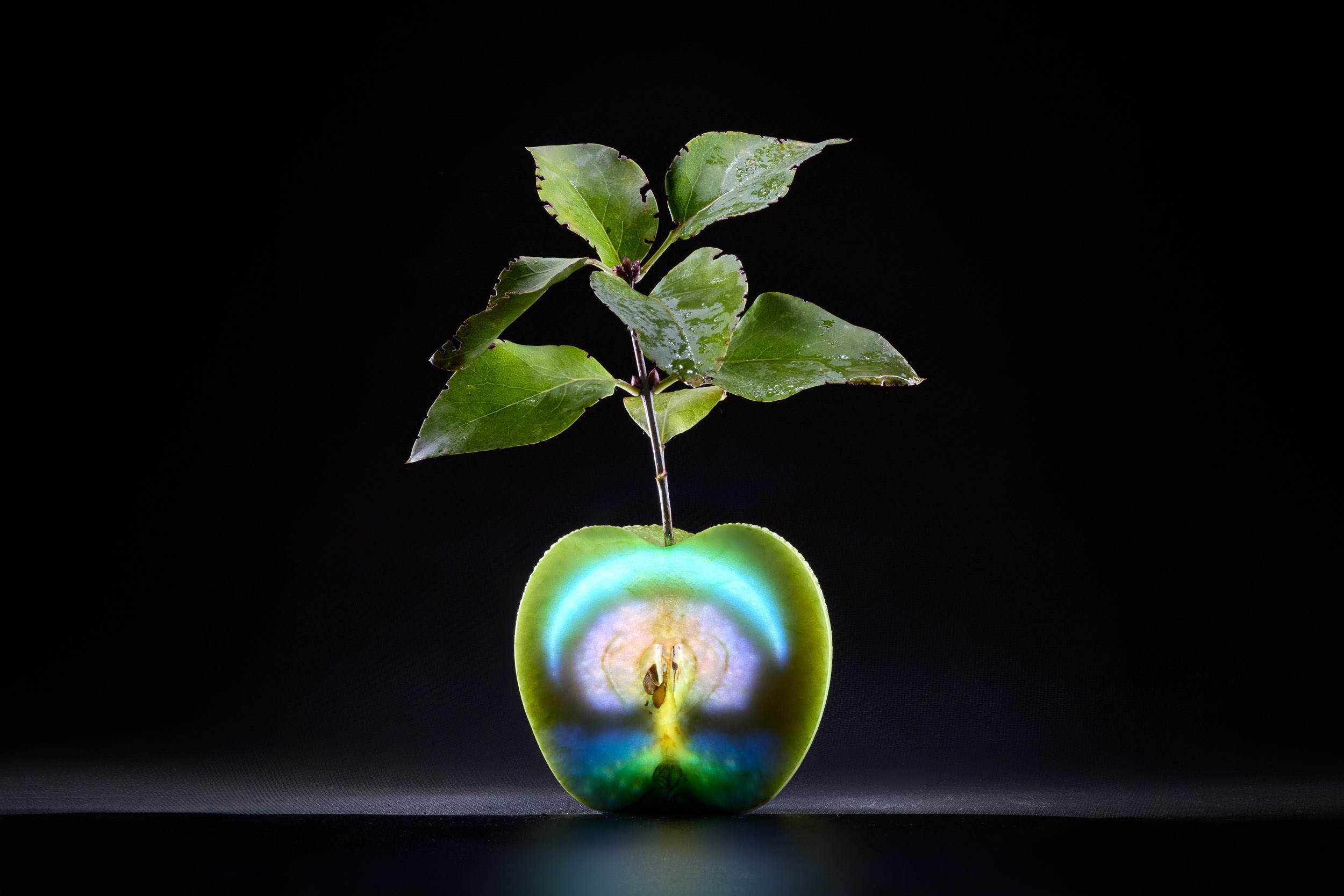 Рекламная фотосъемка предметов, изделий Фотограф Михаил Семенов г. Ярославль