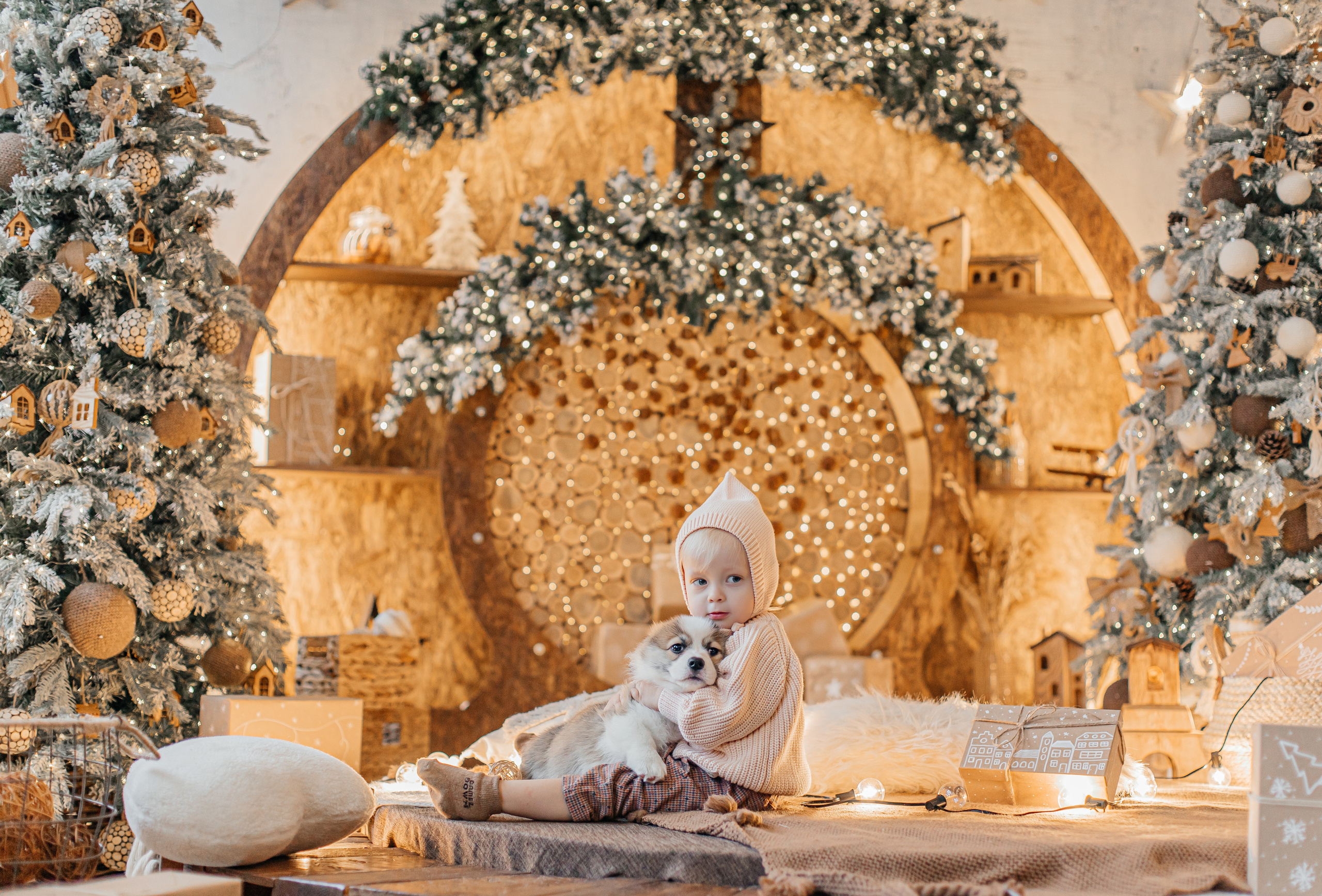 Новогодняя фотосесия Москва