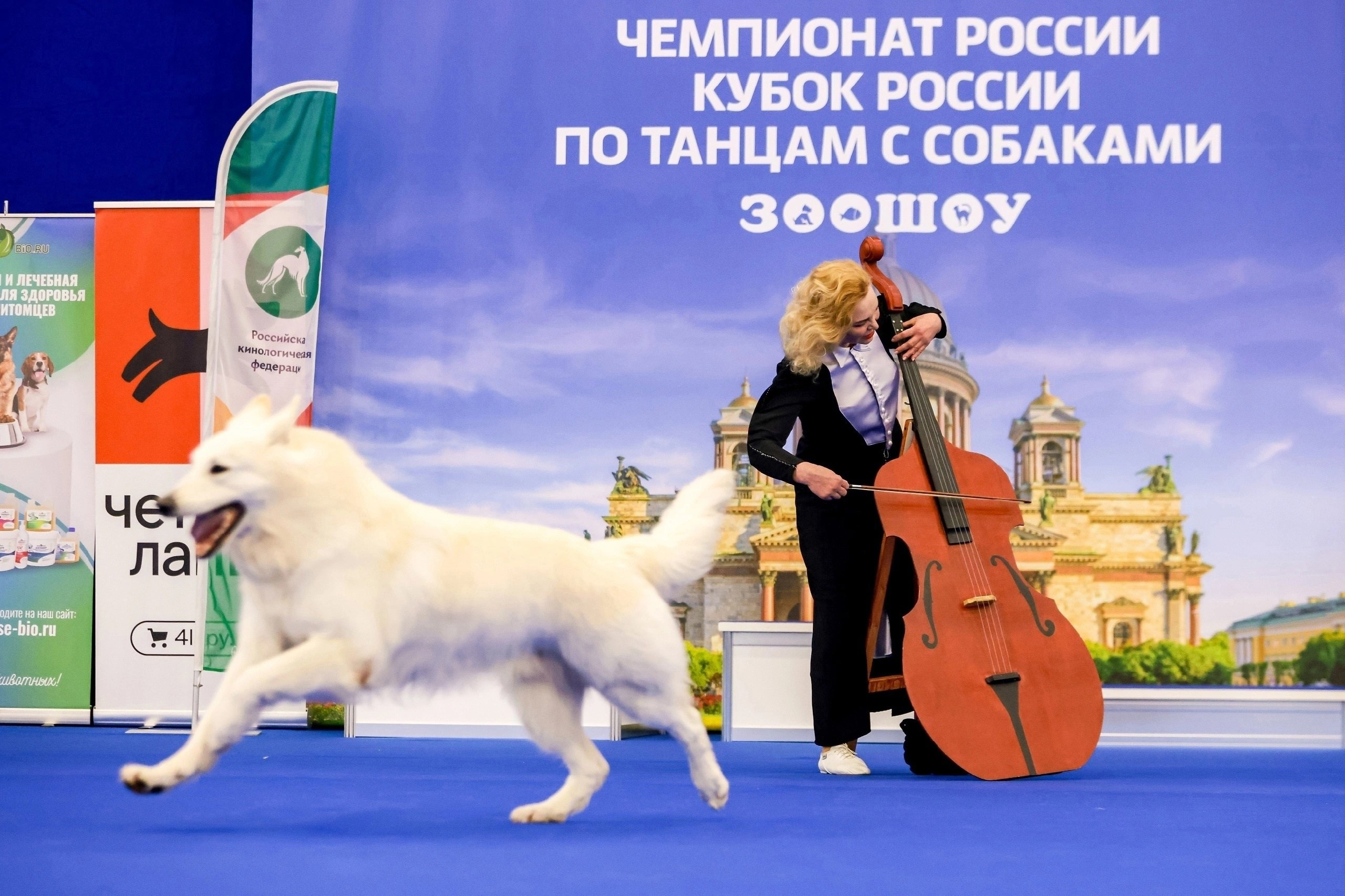 Соревнования по танцам с собаками. Спортивный фотограф Зянтереков Антон