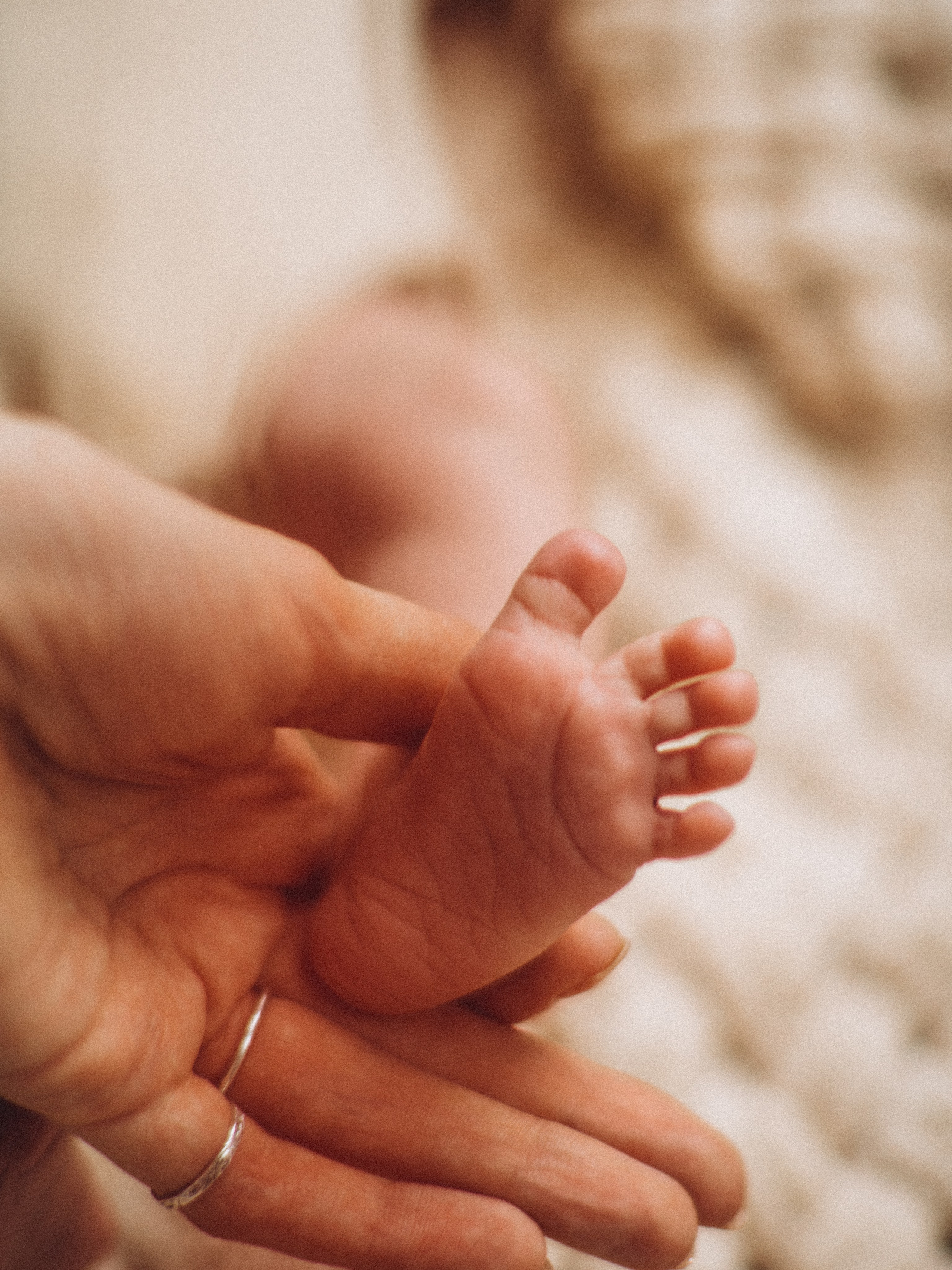 Семейный, ньюборн newborn фотограф, фотограф новорождённых в Санкт-Петербурге, Пушкине, Павловске. Павлова Анастасия