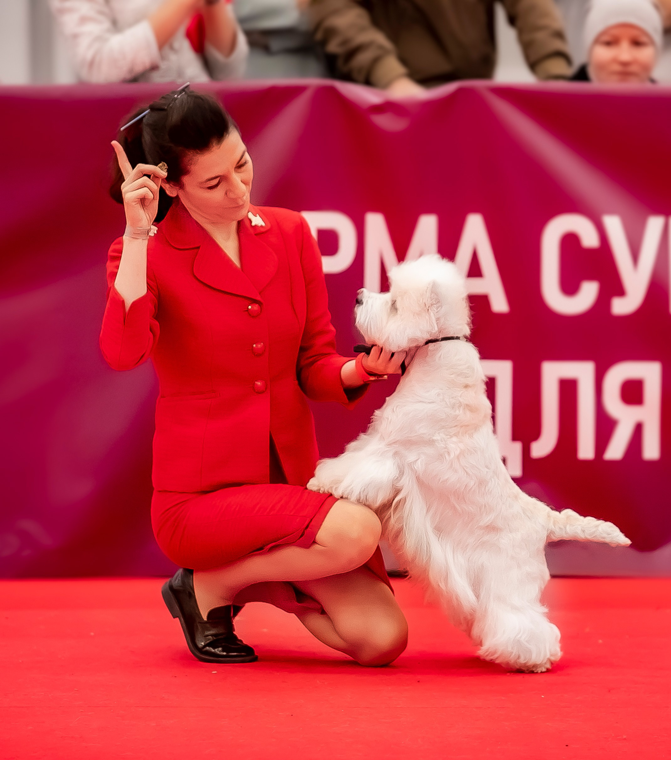 Авторские пресеты для обработки фото. Фотограф — видеограф Алиса Дружинина