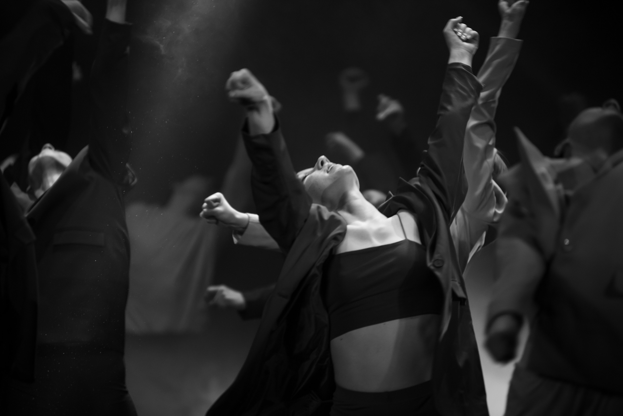 Фламинго | VNЕфокуса