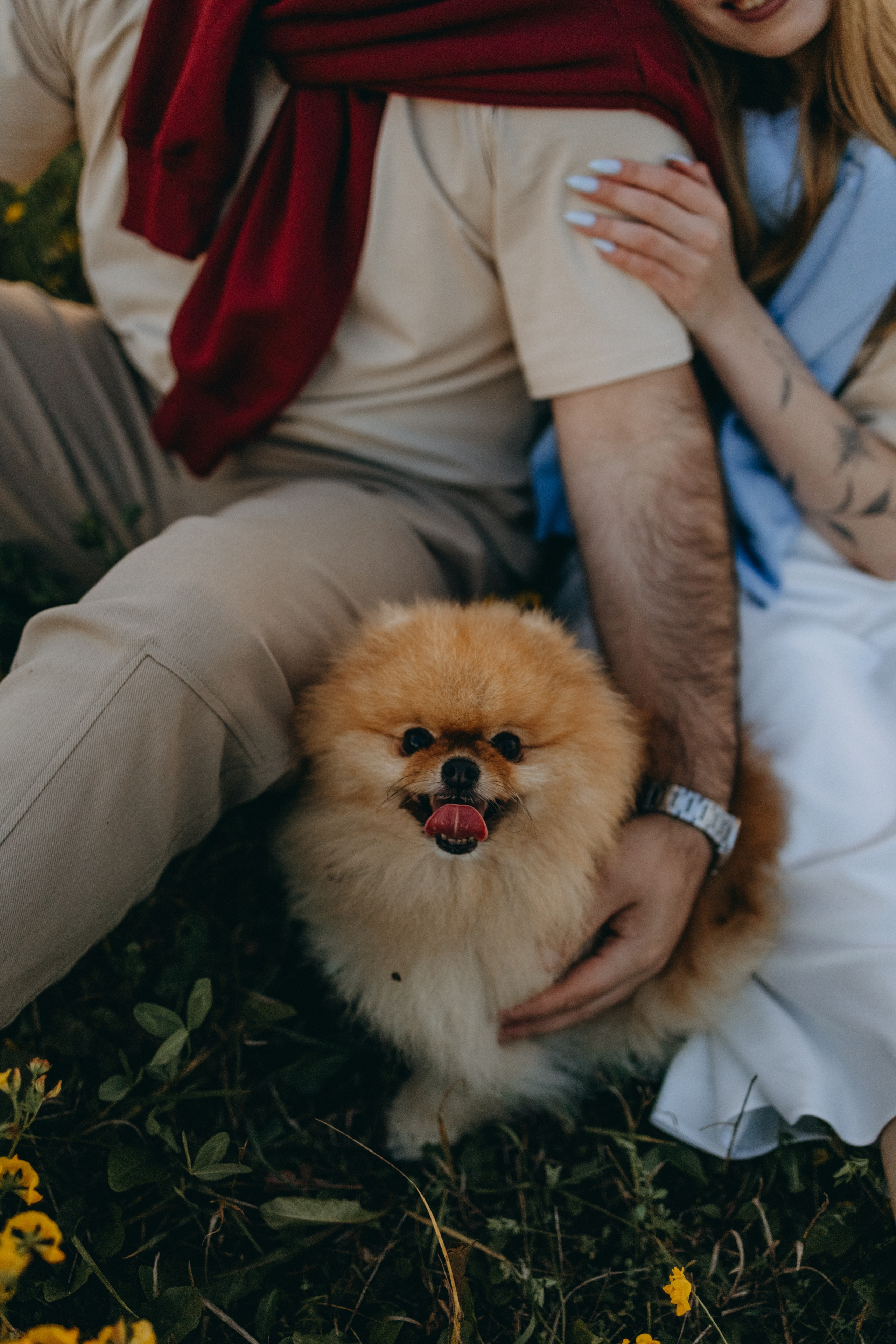 Стив и его семья. Фотограф — Анималист | Санкт-Петербург