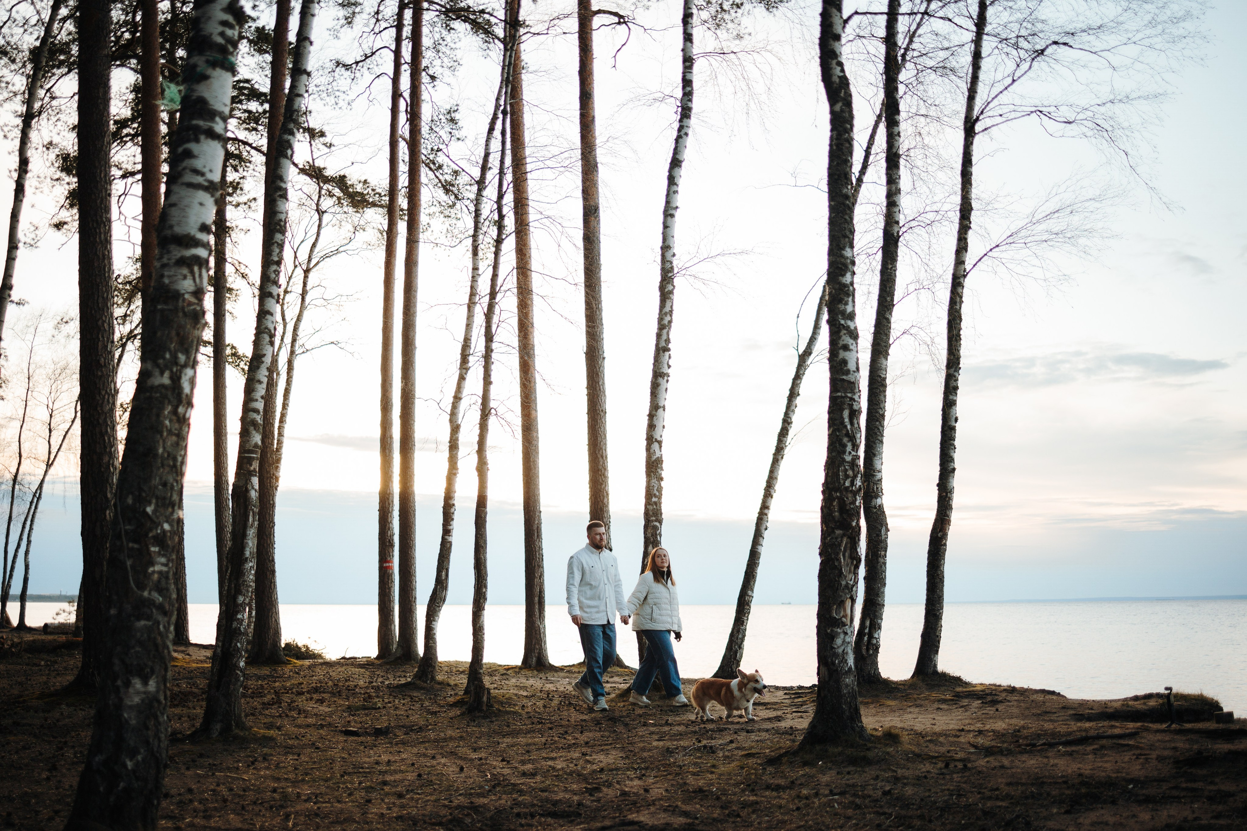 Найт и его семья. Фотограф — Анималист | Санкт-Петербург