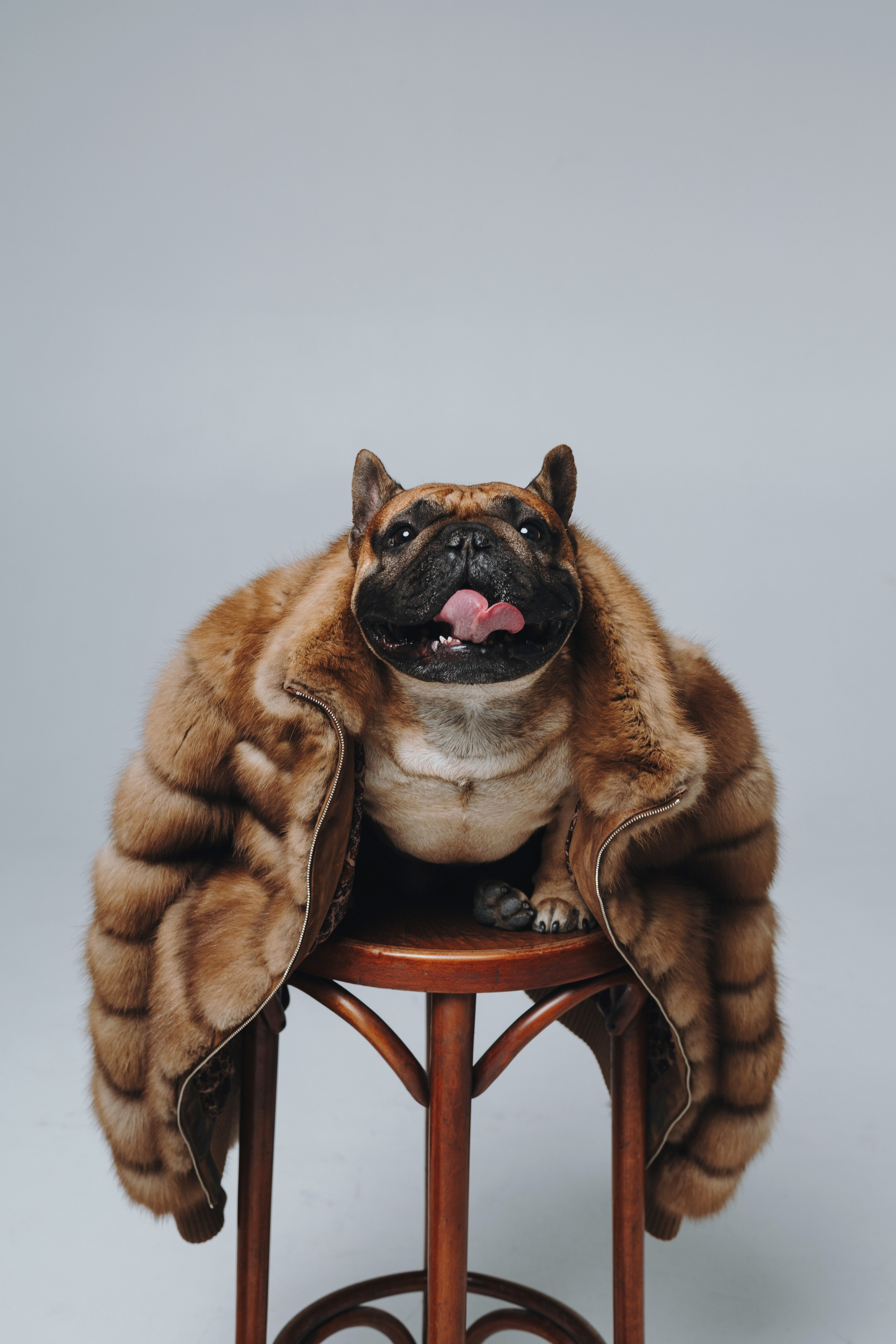 Анна, Юля, грогу и Винс. Фотограф — анималист Владивосток, Алина