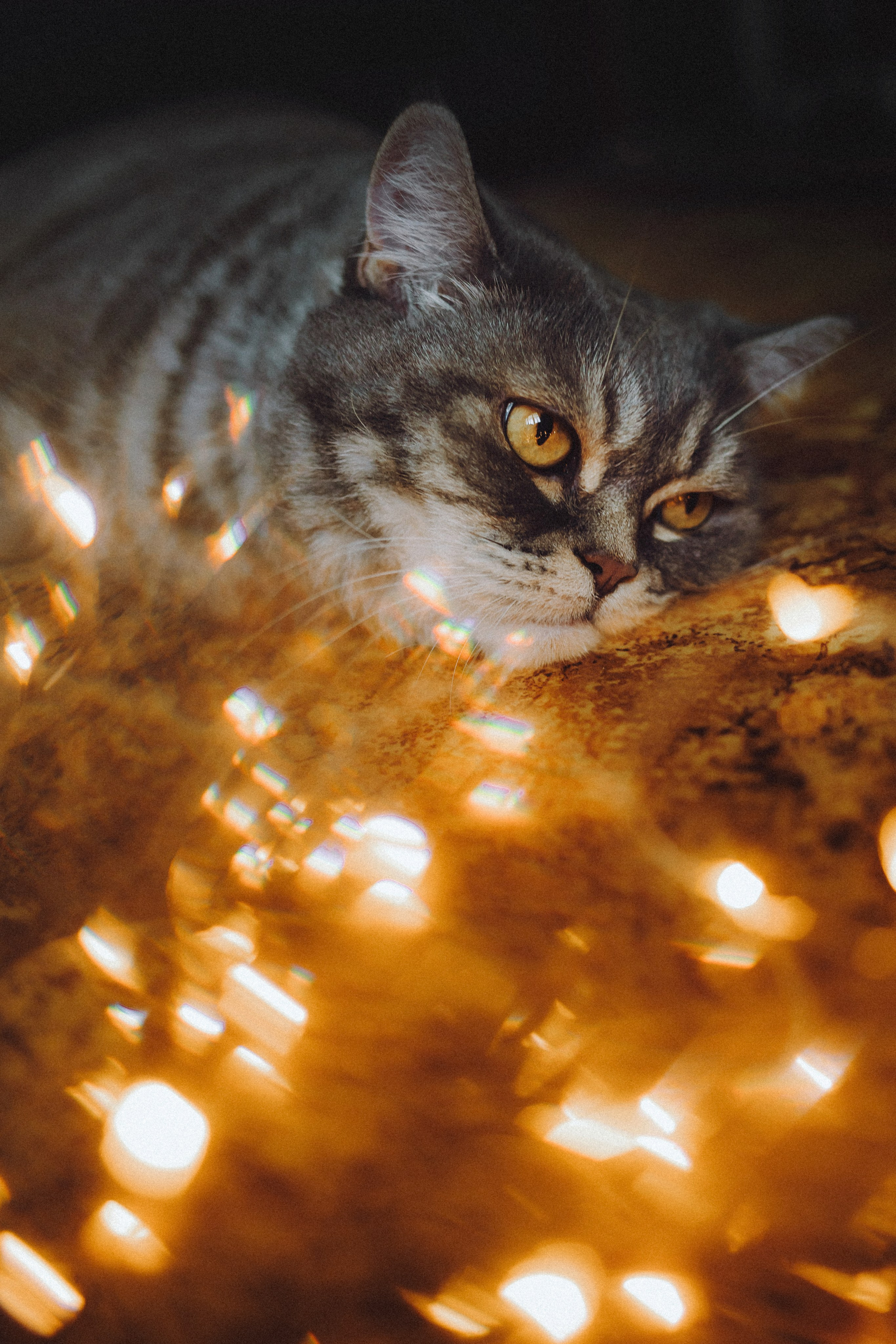 Яся и ее семья