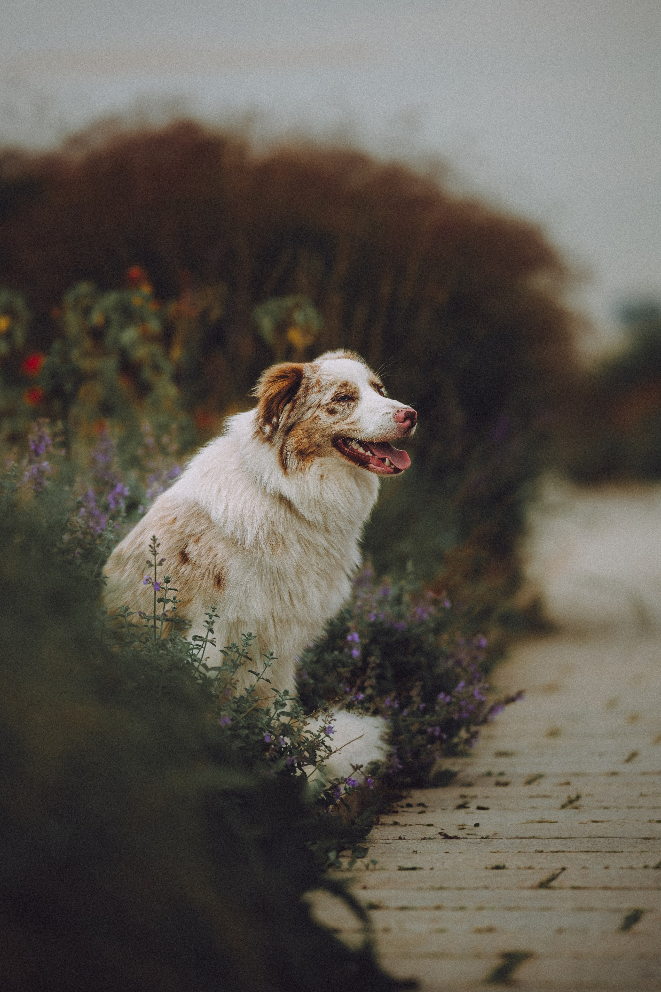 Один и его семья