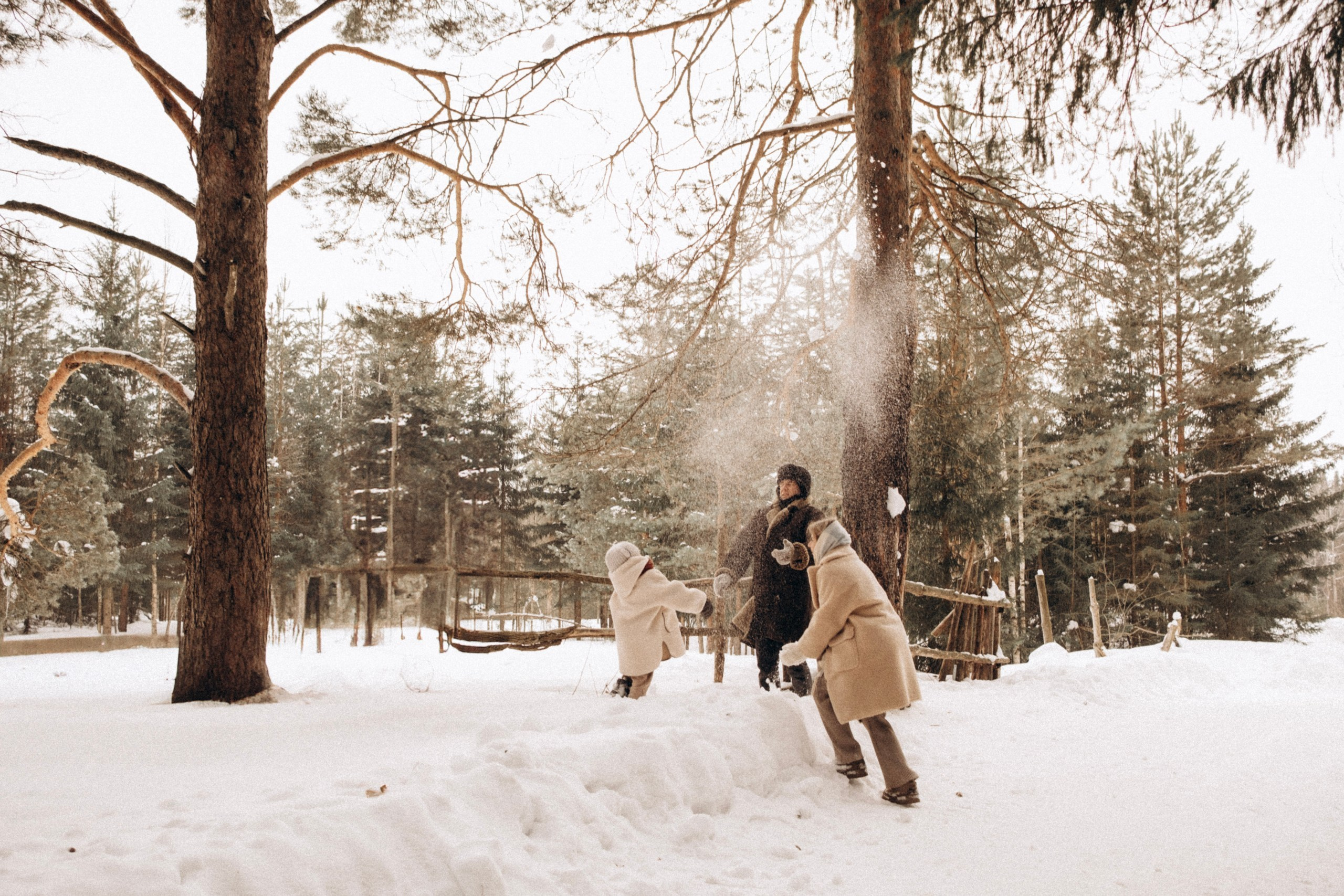 Зимняя история. Главная