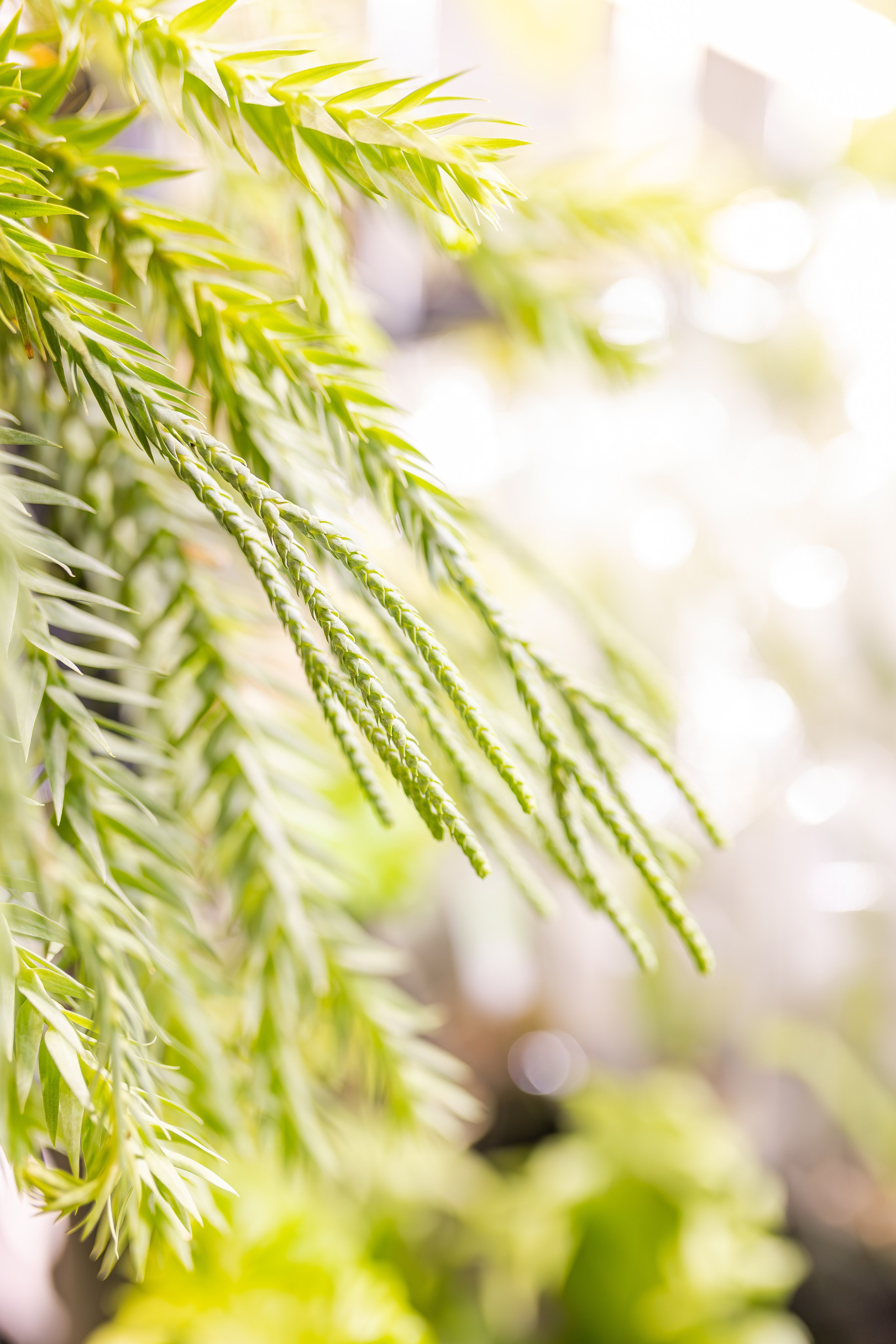 Монстериум апрель 2026. Александра Куликова фотограф, Москва