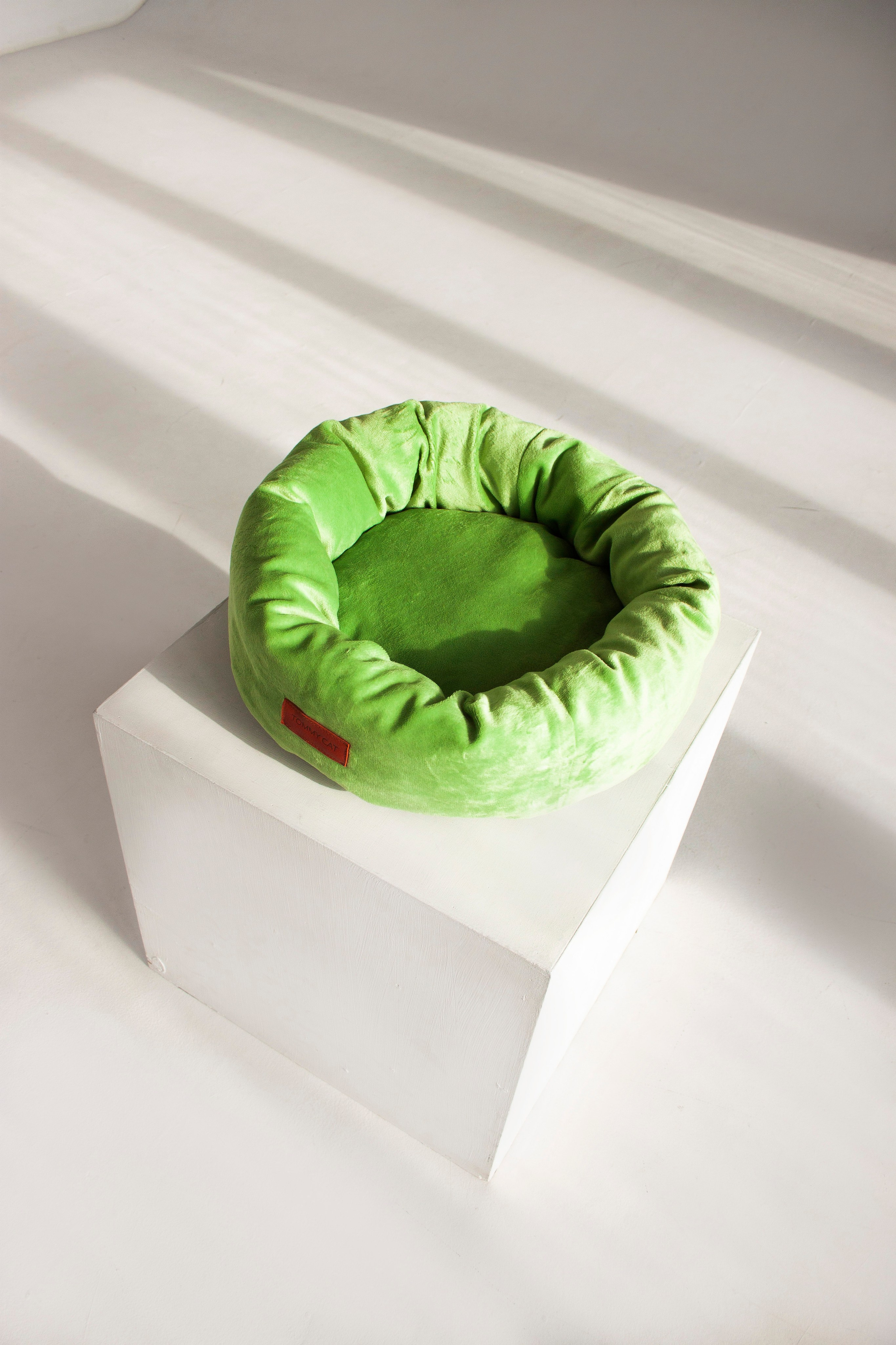 Работа с Tommy cat. Oksan_photo