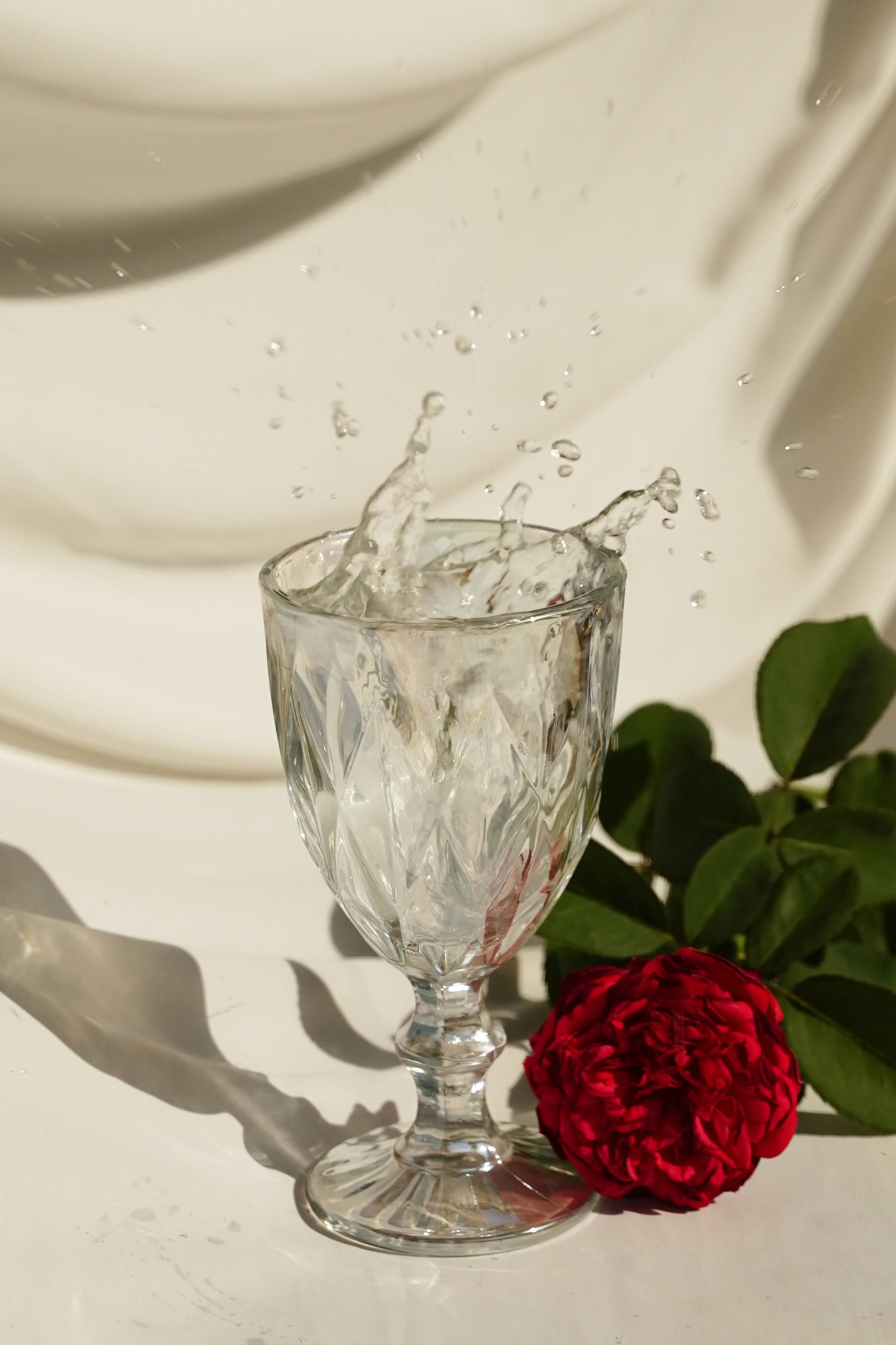 Бокалы WB. Амина Абасова — индивидуальный фотограф в Махачкале, Дагестан