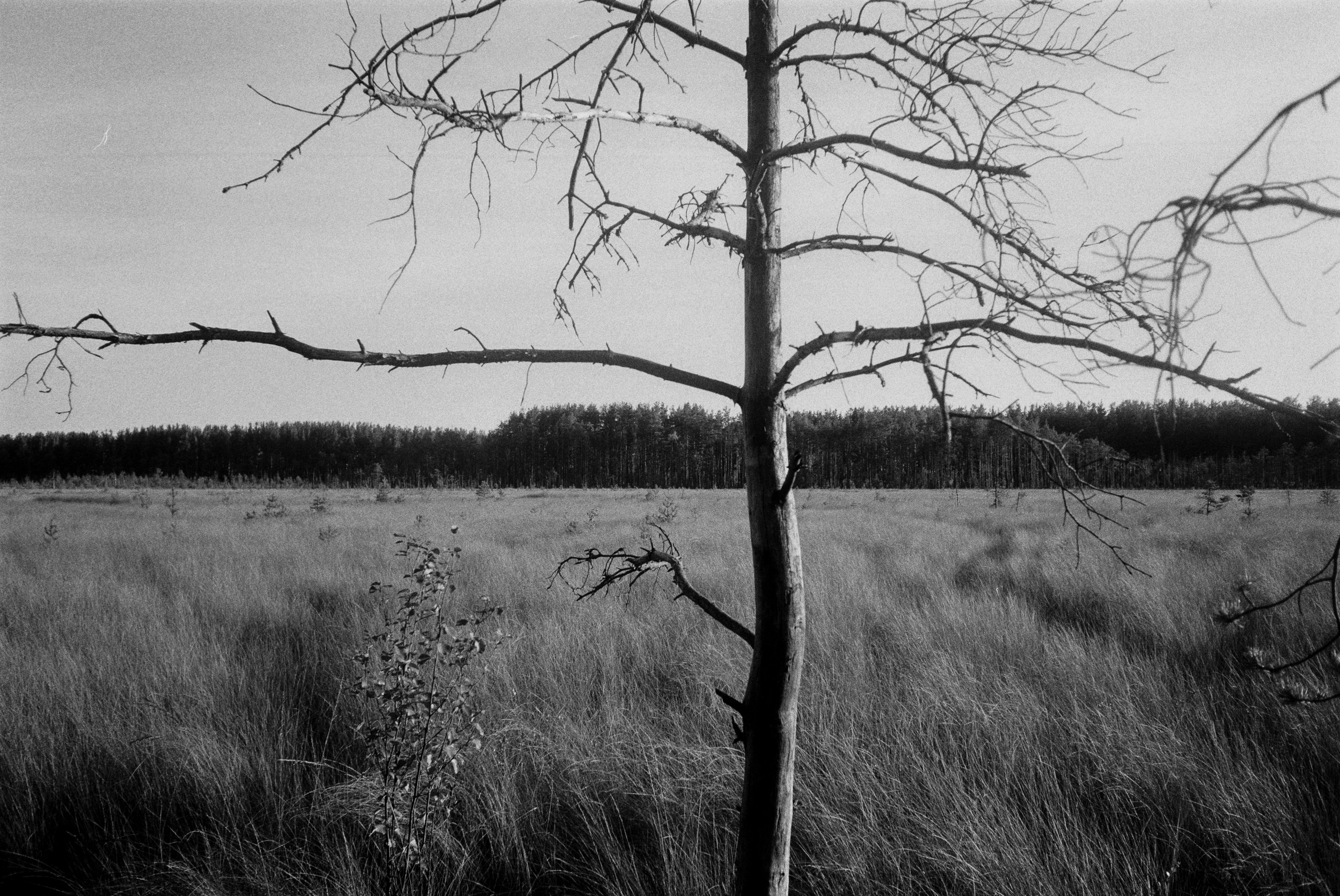 Идеология. Elena Raya • Photographer