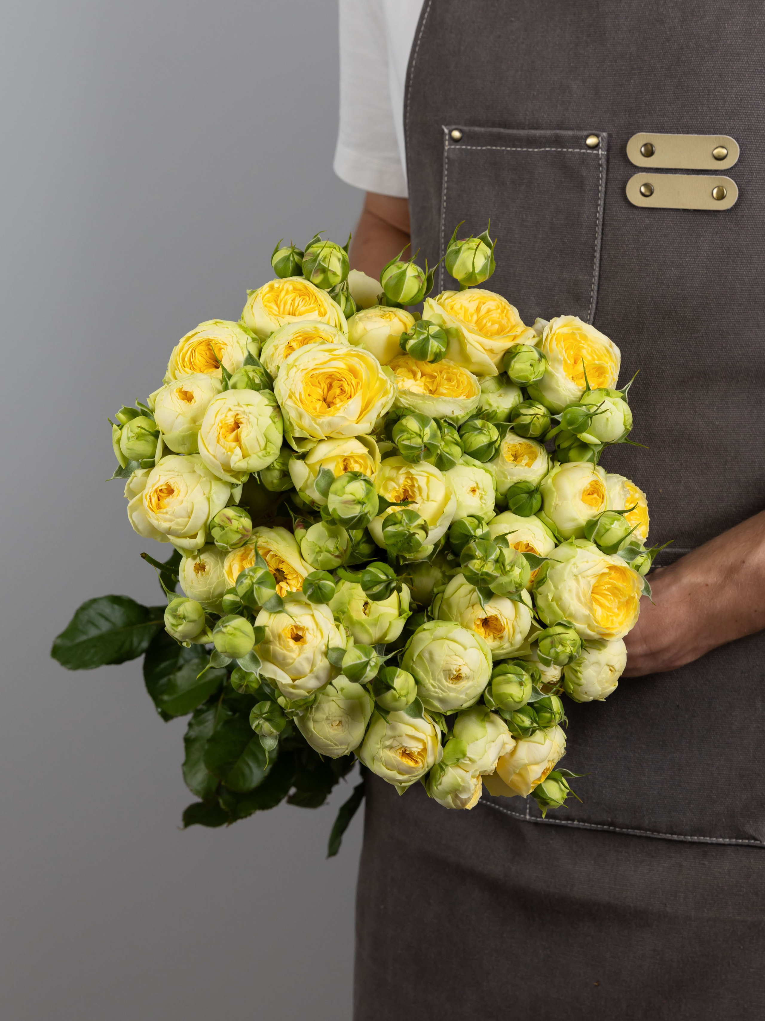 04.08.2025 Фотосессия сортов Цветополис. ФОТОГРАФ ВИНОГРАДОВА ДАРЬЯ