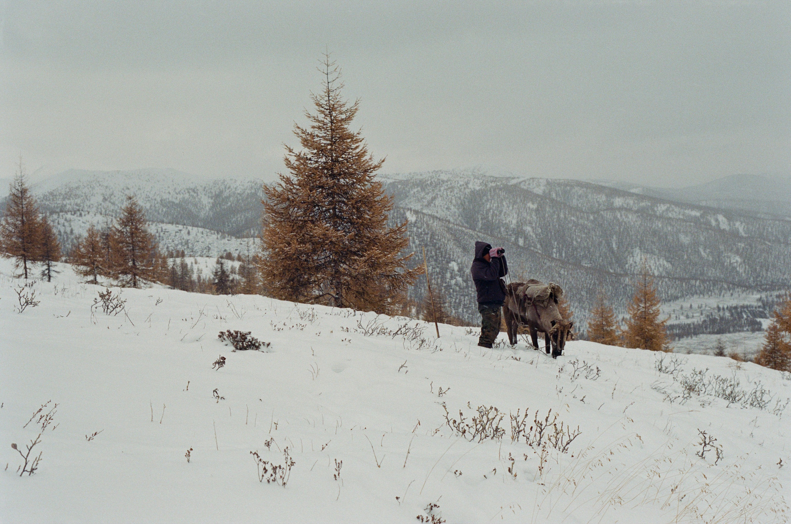 Не забудь накормить озеро. Natalya Madilyan
