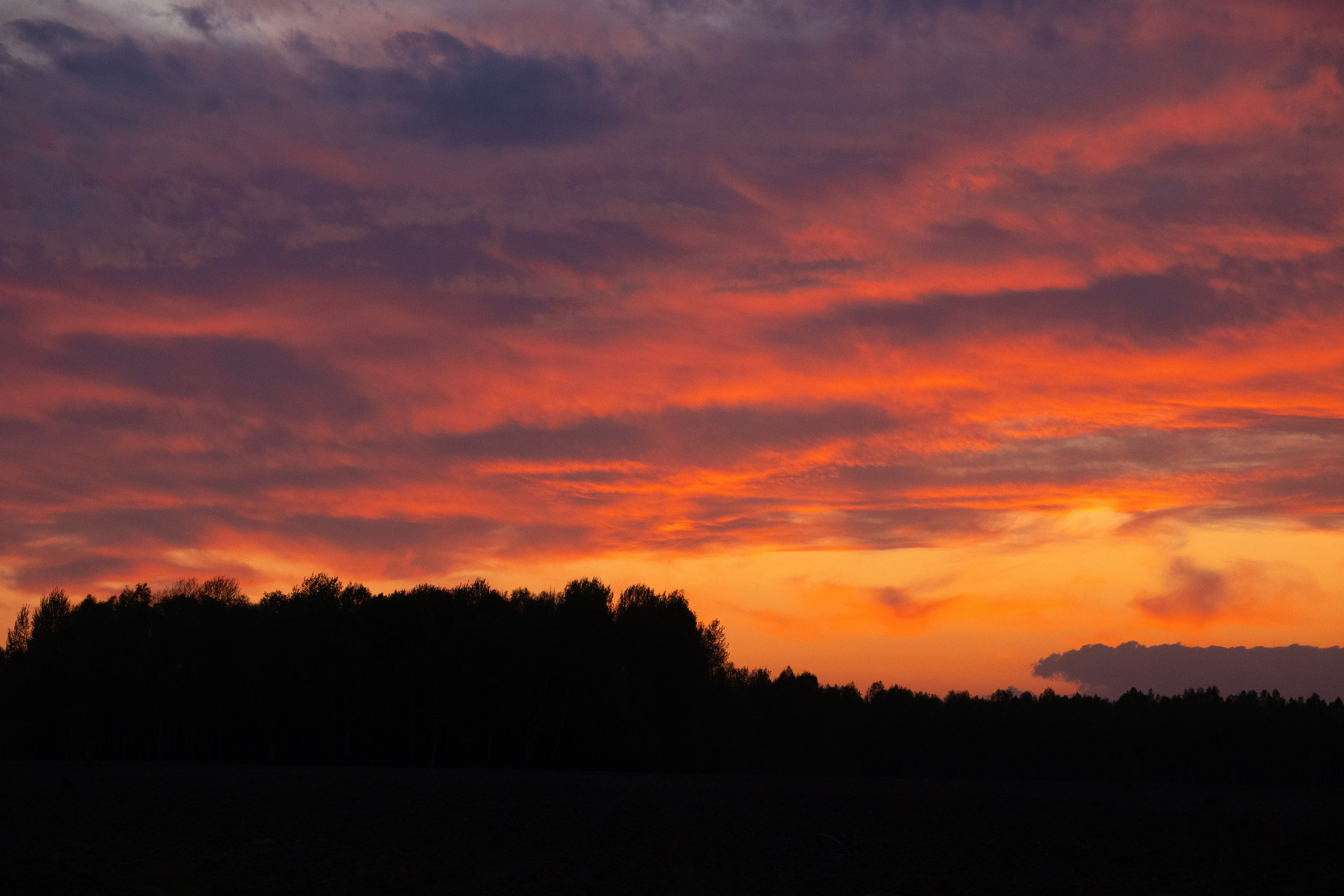 Суворовские карьеры. Фотограф и видеооператор в Туле | Даниил Рыбак