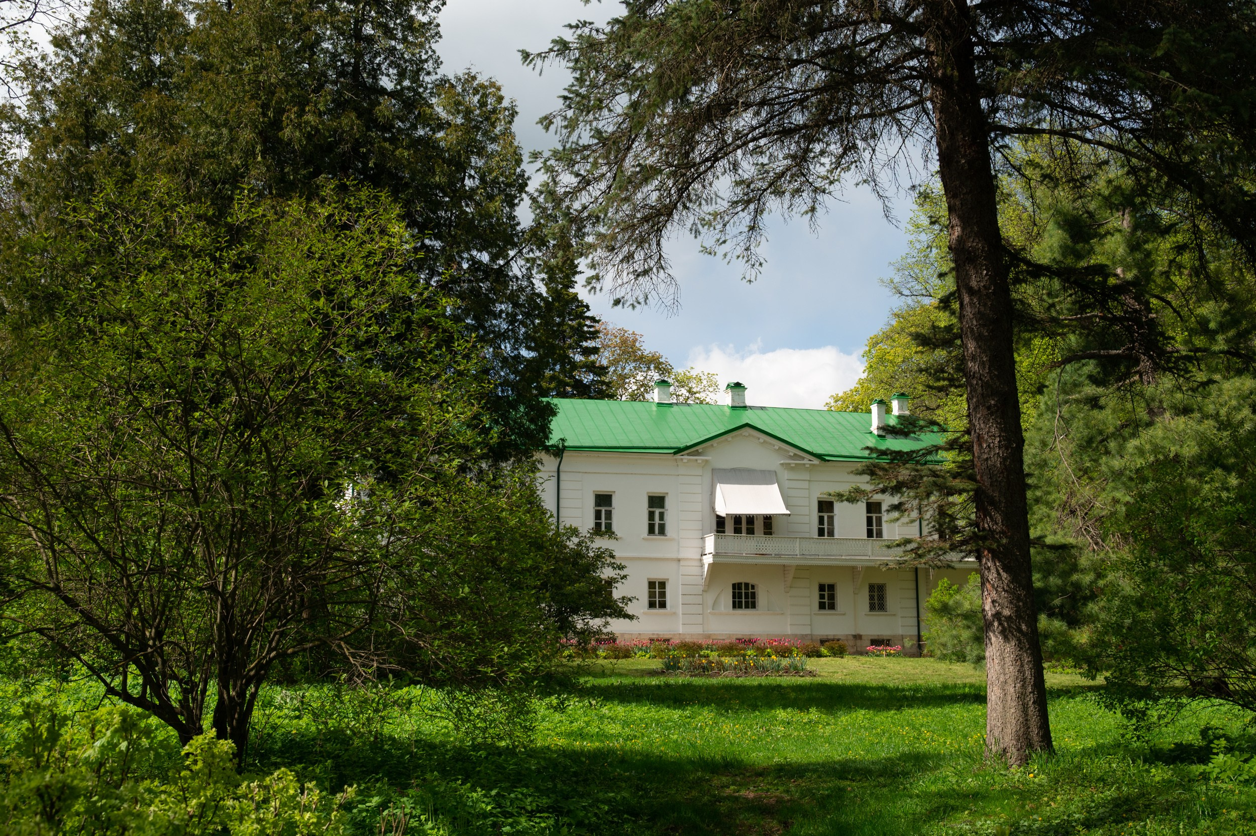 Ясная поляна. Фотограф и видеооператор в Туле | Даниил Рыбак