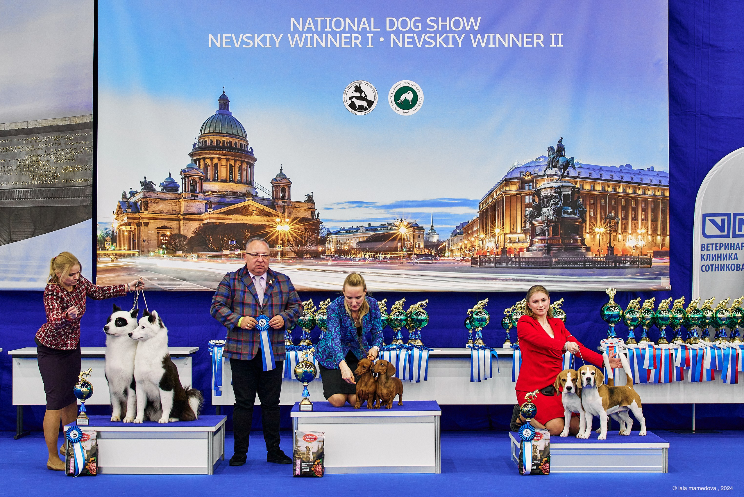 РЕЙТИНГОВАЯ ВЫСТАВКА СОБАК ВСЕХ ПОРОД С ОСОБЫМ СТАТУСОМ"НЕВСКИЙ ПОБЕДИТЕЛЬ-2024-1"