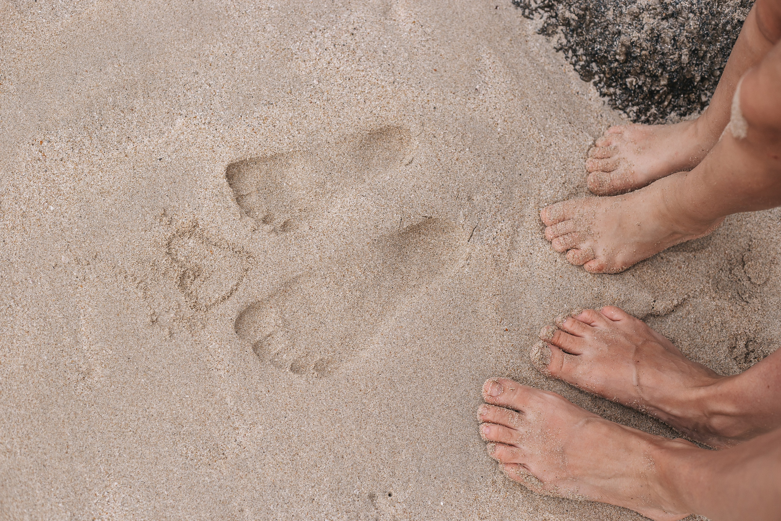 Семейные. Главная