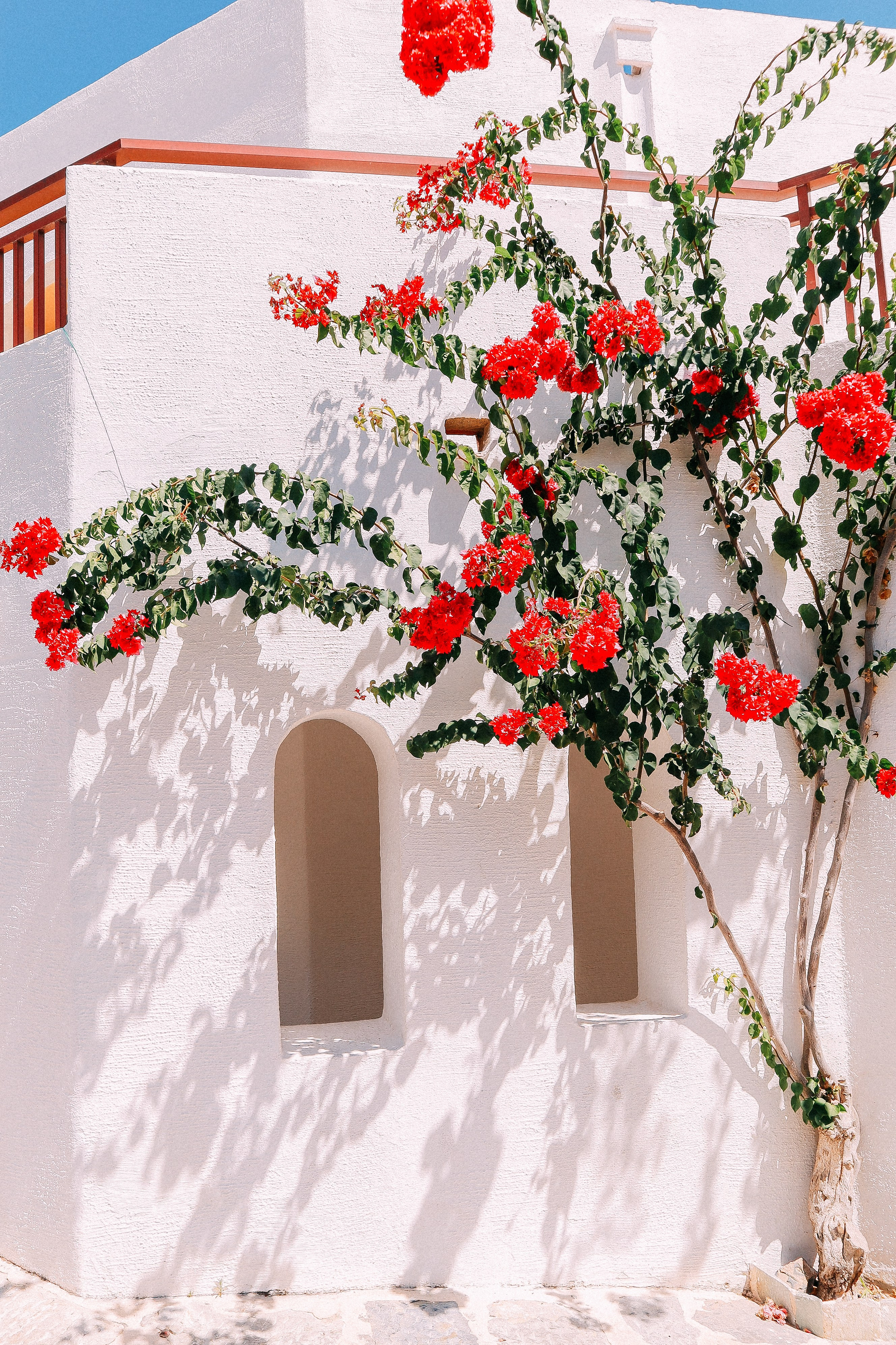 Крит. Аня Степанова