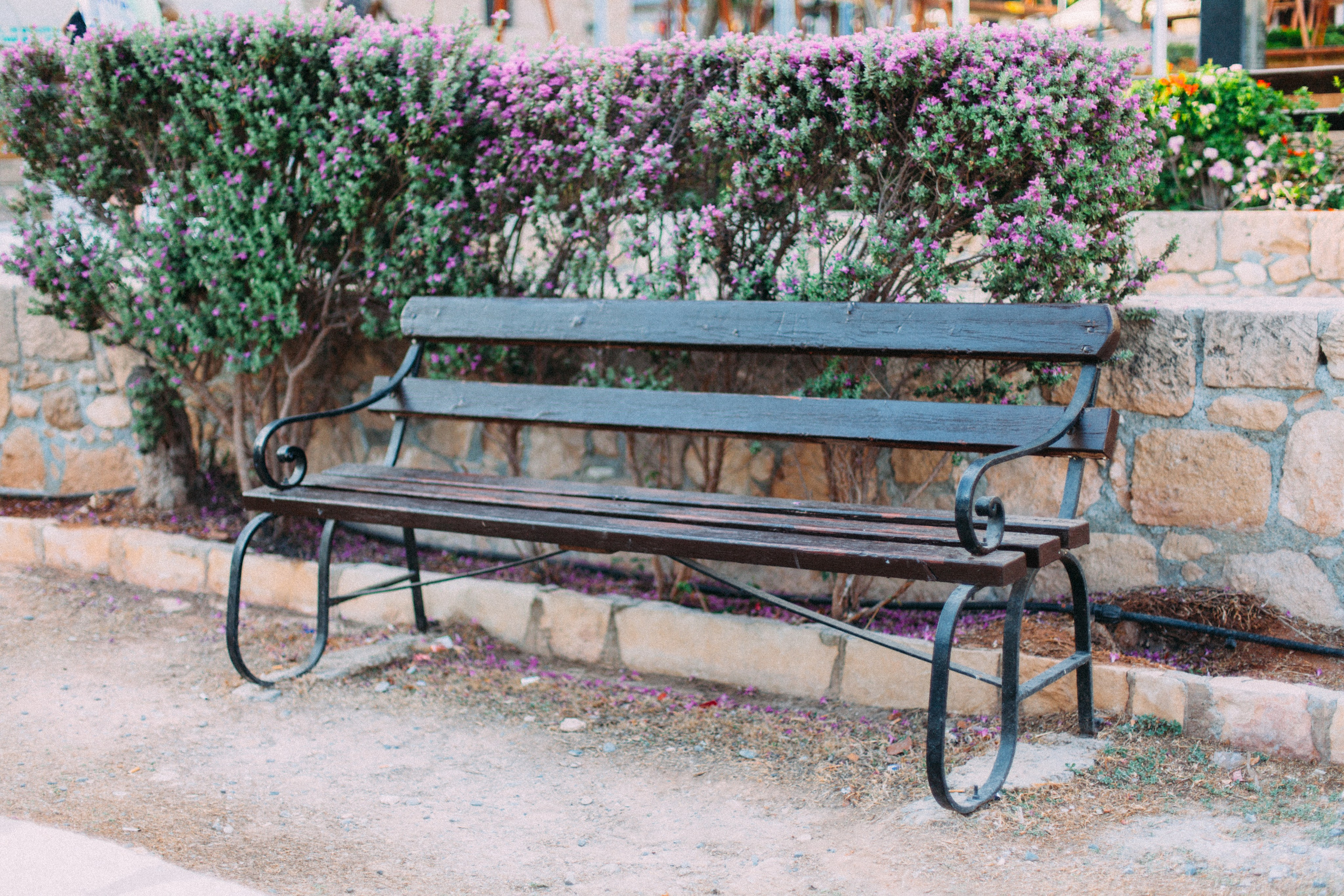 Кипр. Аня Степанова