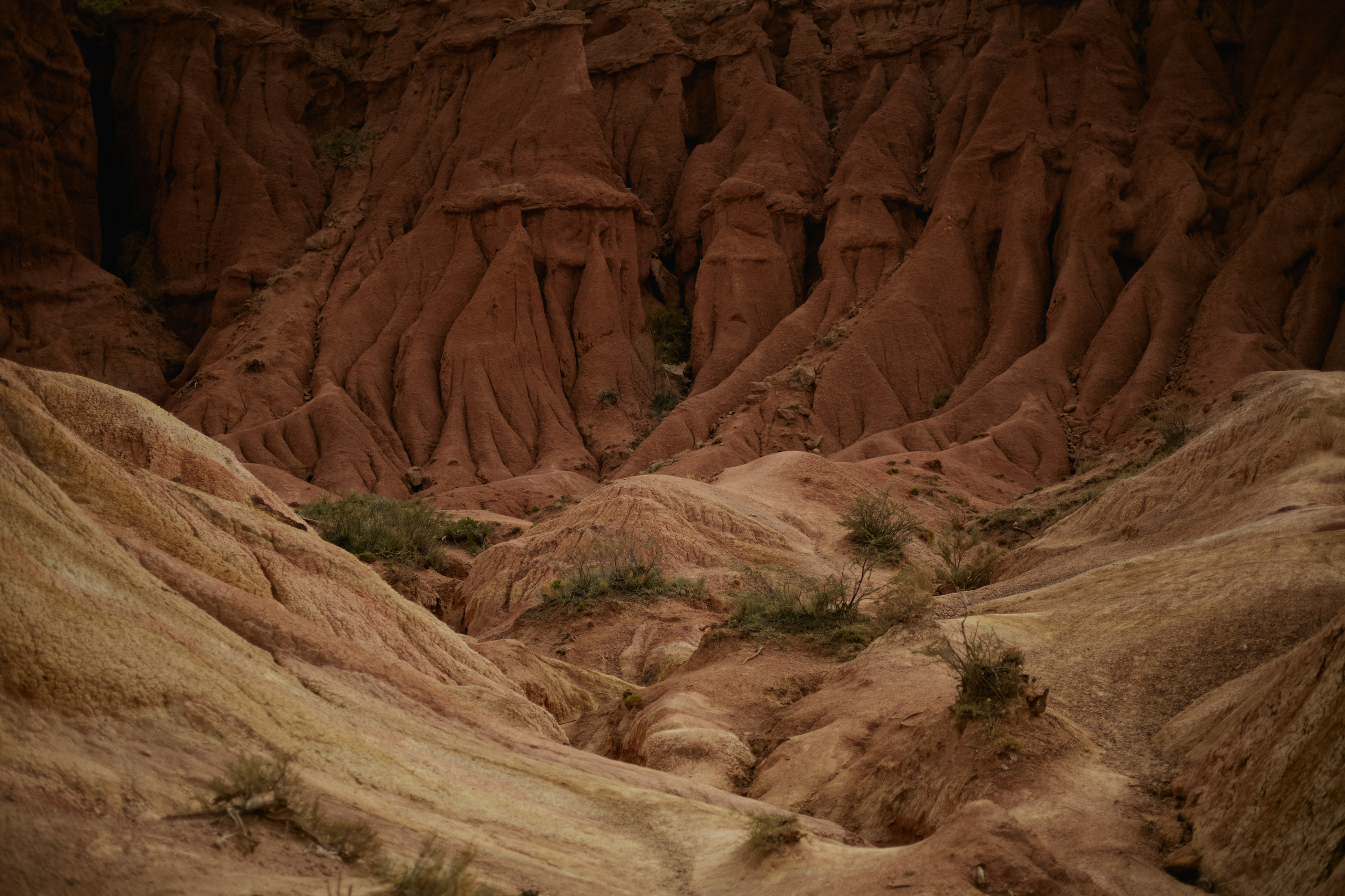 Кыргызтан. Профессиональный Фотограф во Владимире, в Москве и в Суздале — Полина Романычева
