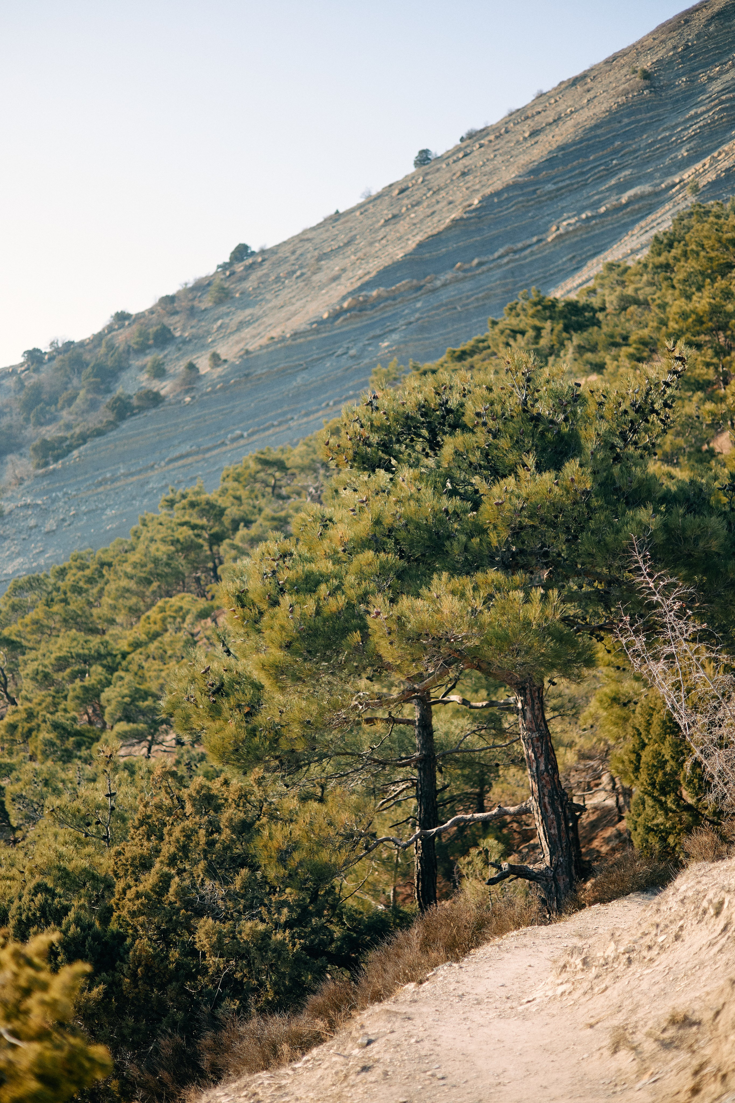 Юг России. Профессиональный Фотограф во Владимире, в Москве и в Суздале — Полина Романычева