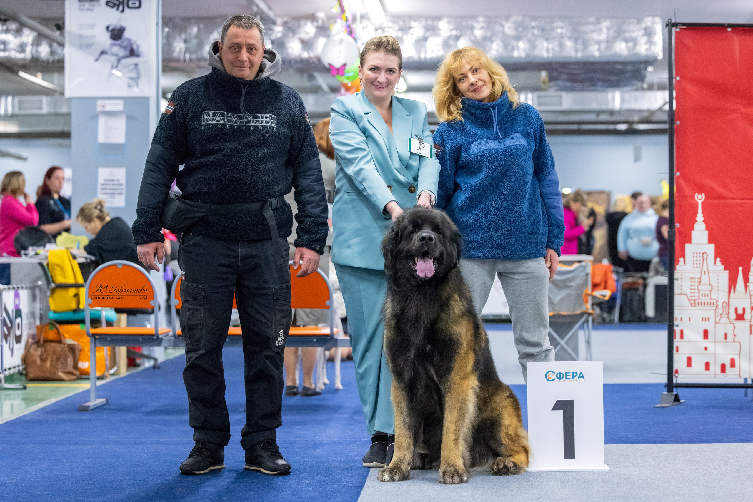 Сфера 17.03.2024. Фотограф-анималист Юлия Германика