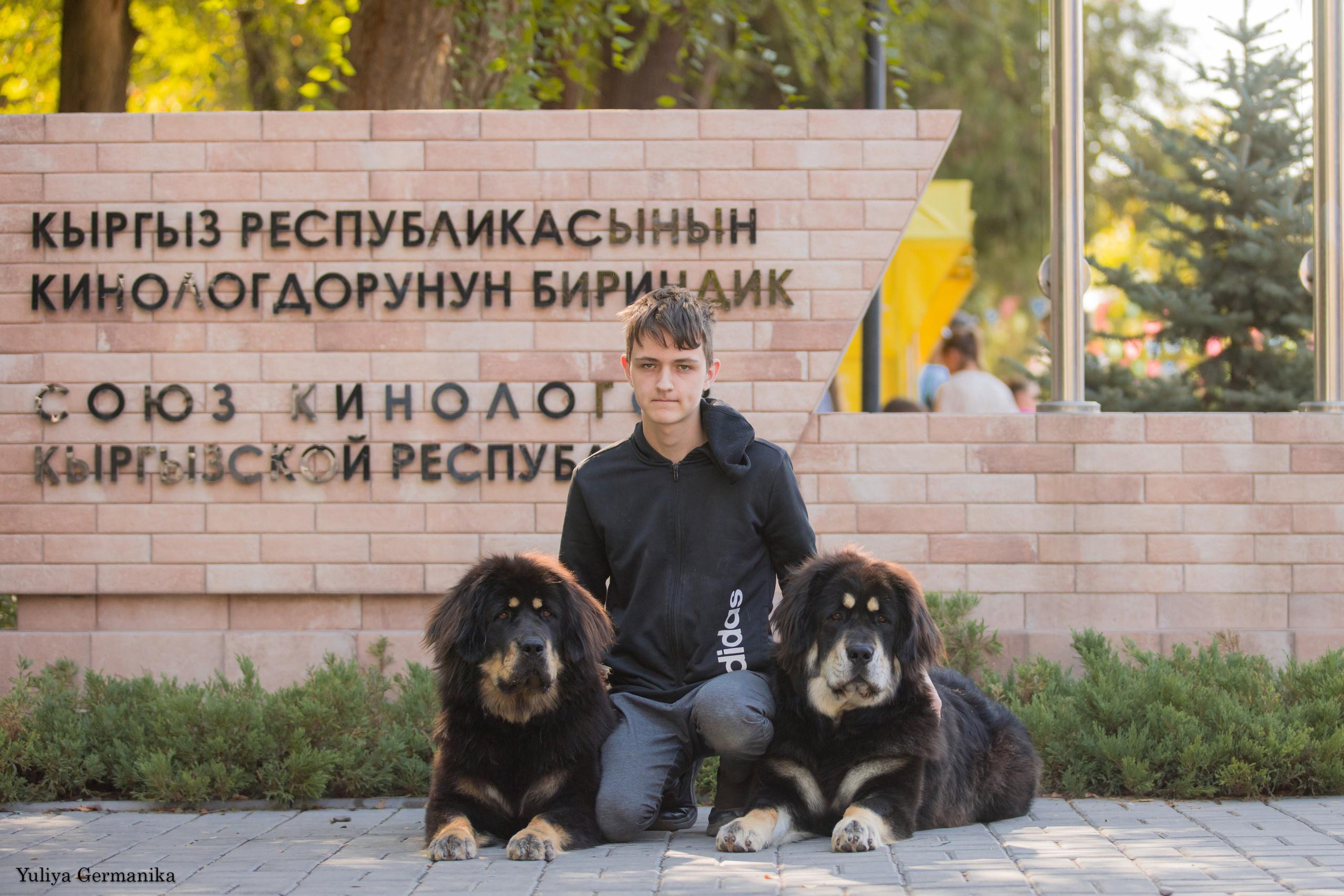 Бишкек 29.09-01.10.2023. Фотограф-анималист Юлия Германика