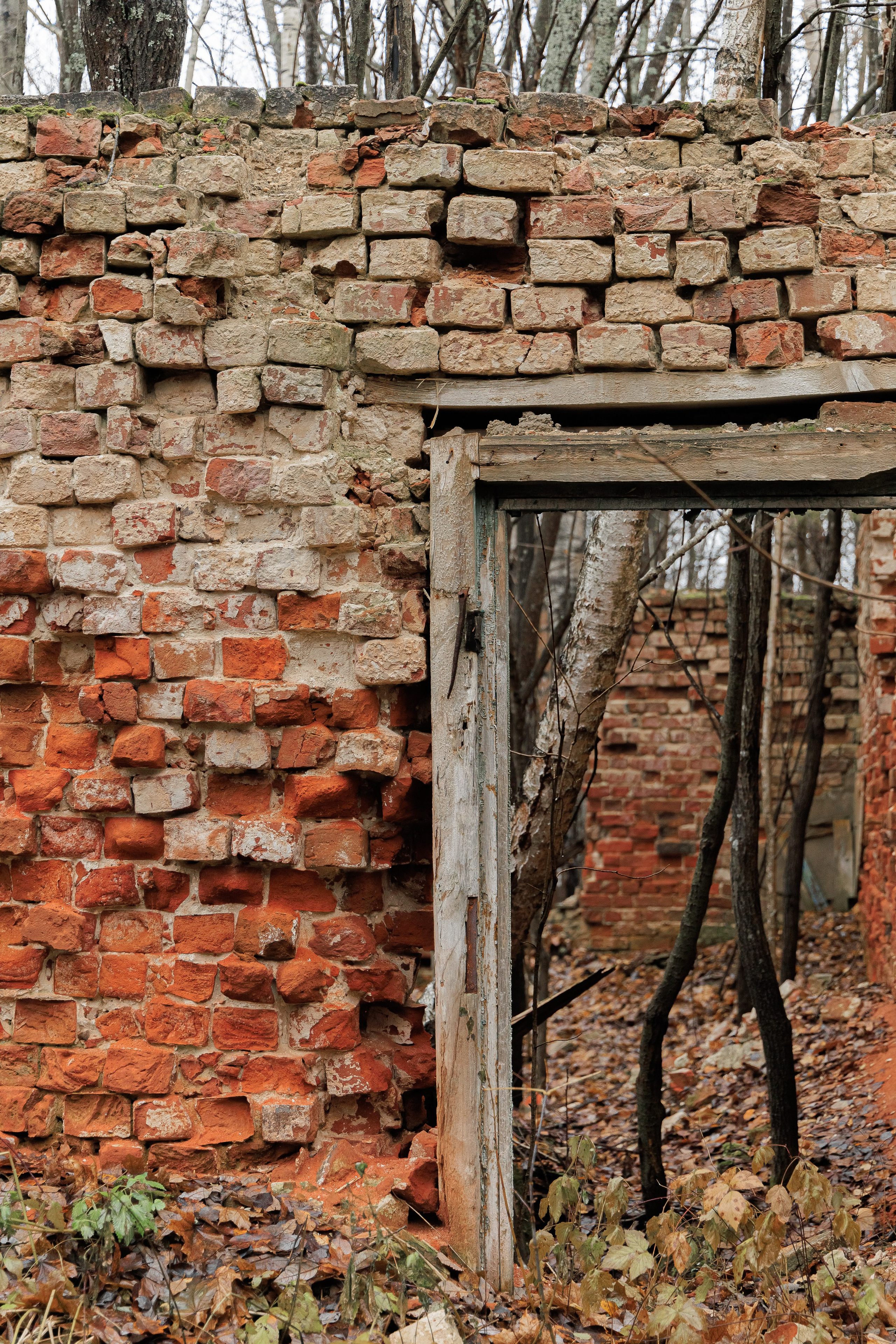Фотоэкспедиция для ЯндексКарты в г. Новашино. Интерьерный, предметный фуд-фотограф в Нижнем Новгороде Наталья Латыпова