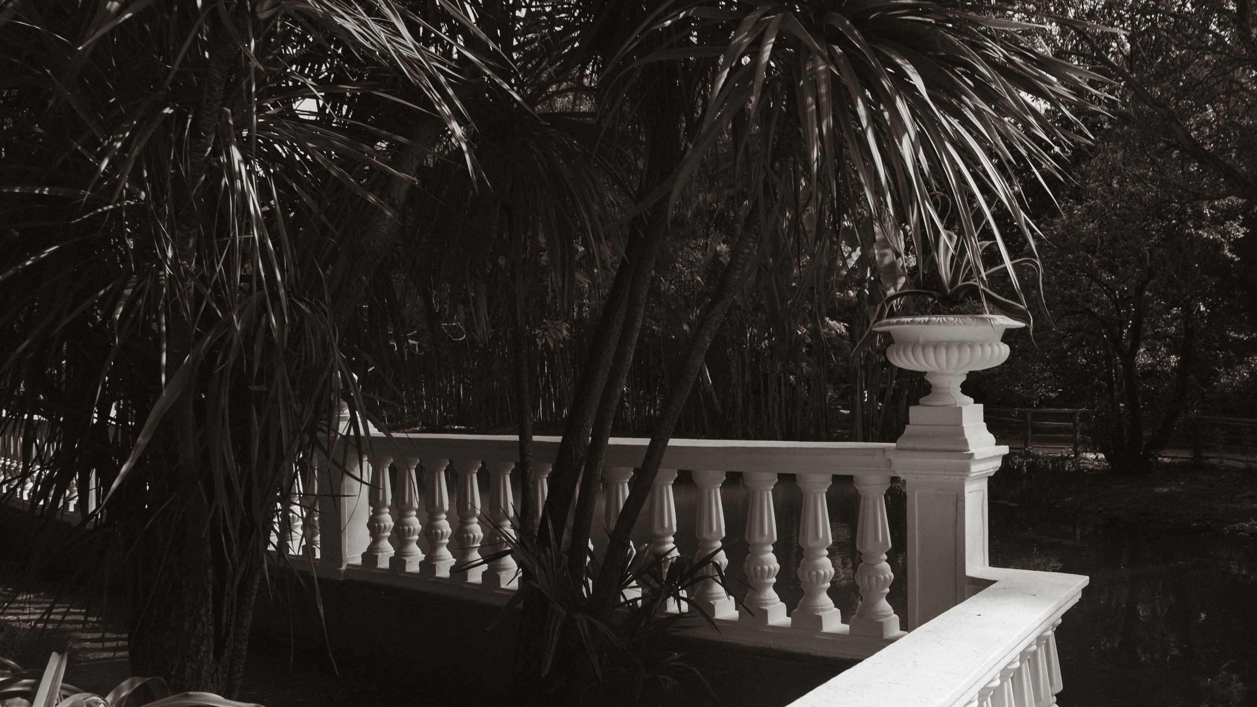 Прогулка в Сочи. Фотограф и Видеограф Анапа, Новороссийск, Краснодар. Алина и Женя