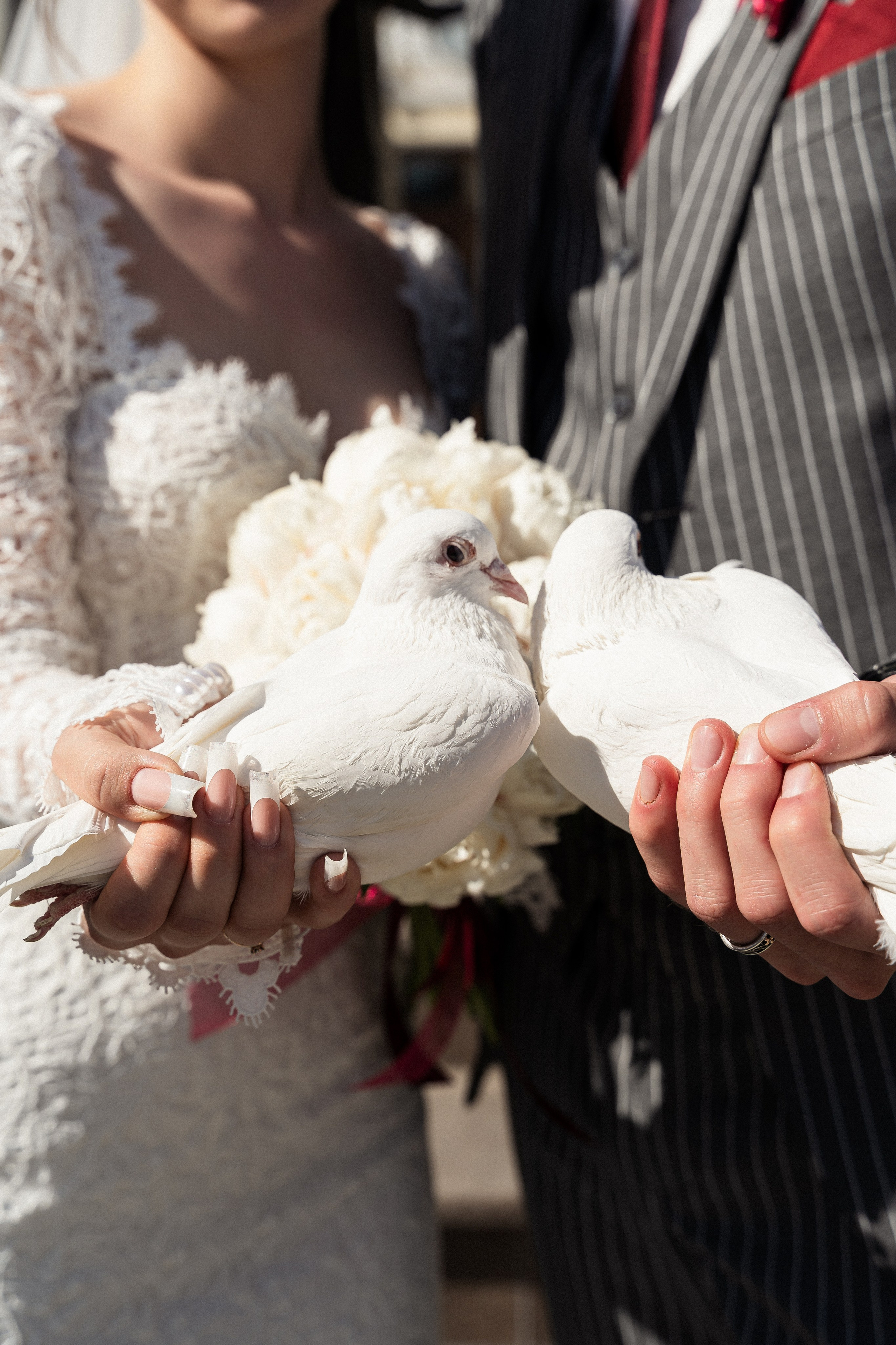 Иван и Александра. Фотограф Алина Филимонова Тверь
