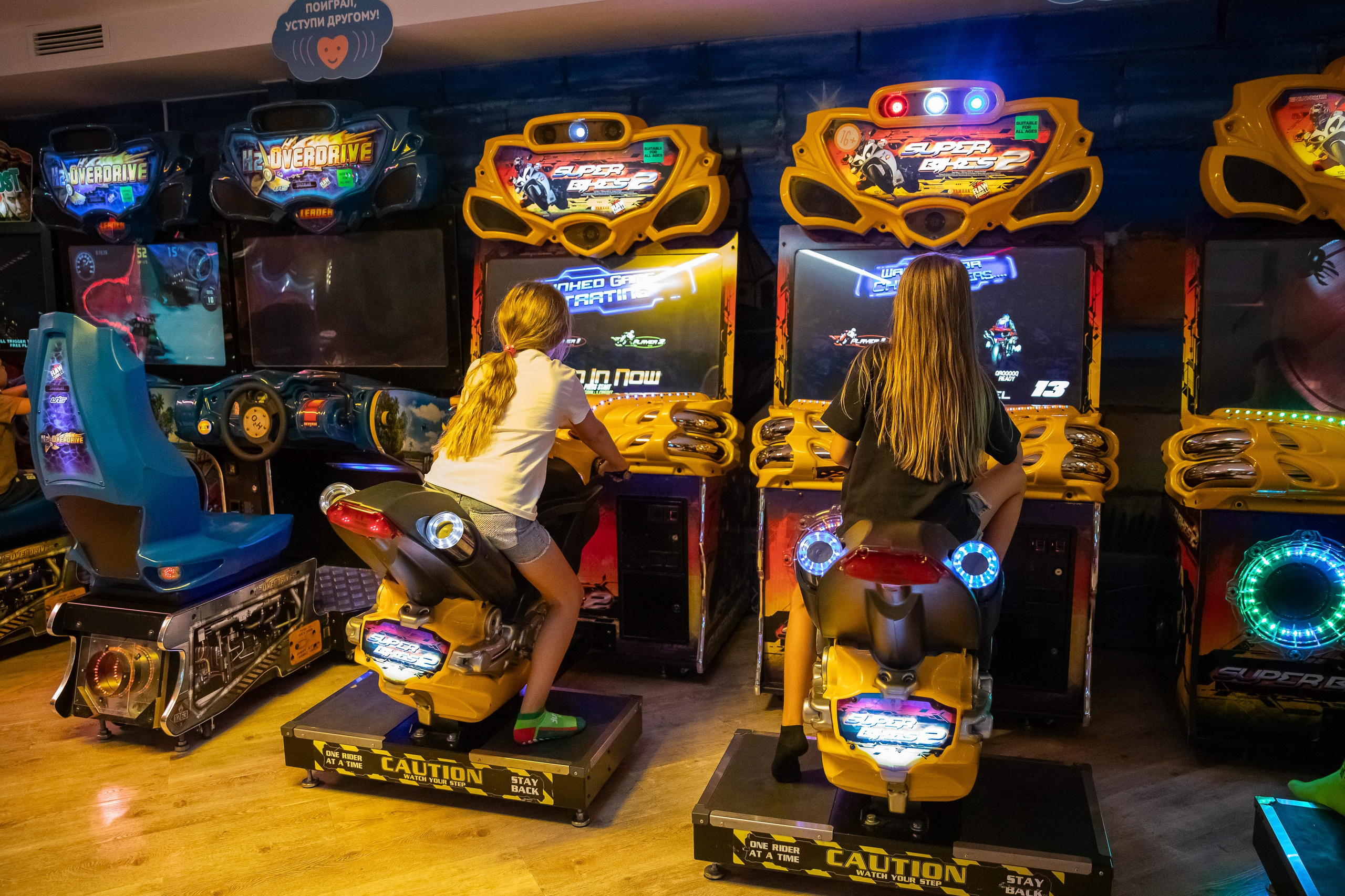 Отпетые мошенники в Mouse House. NesterovaMaria.ru