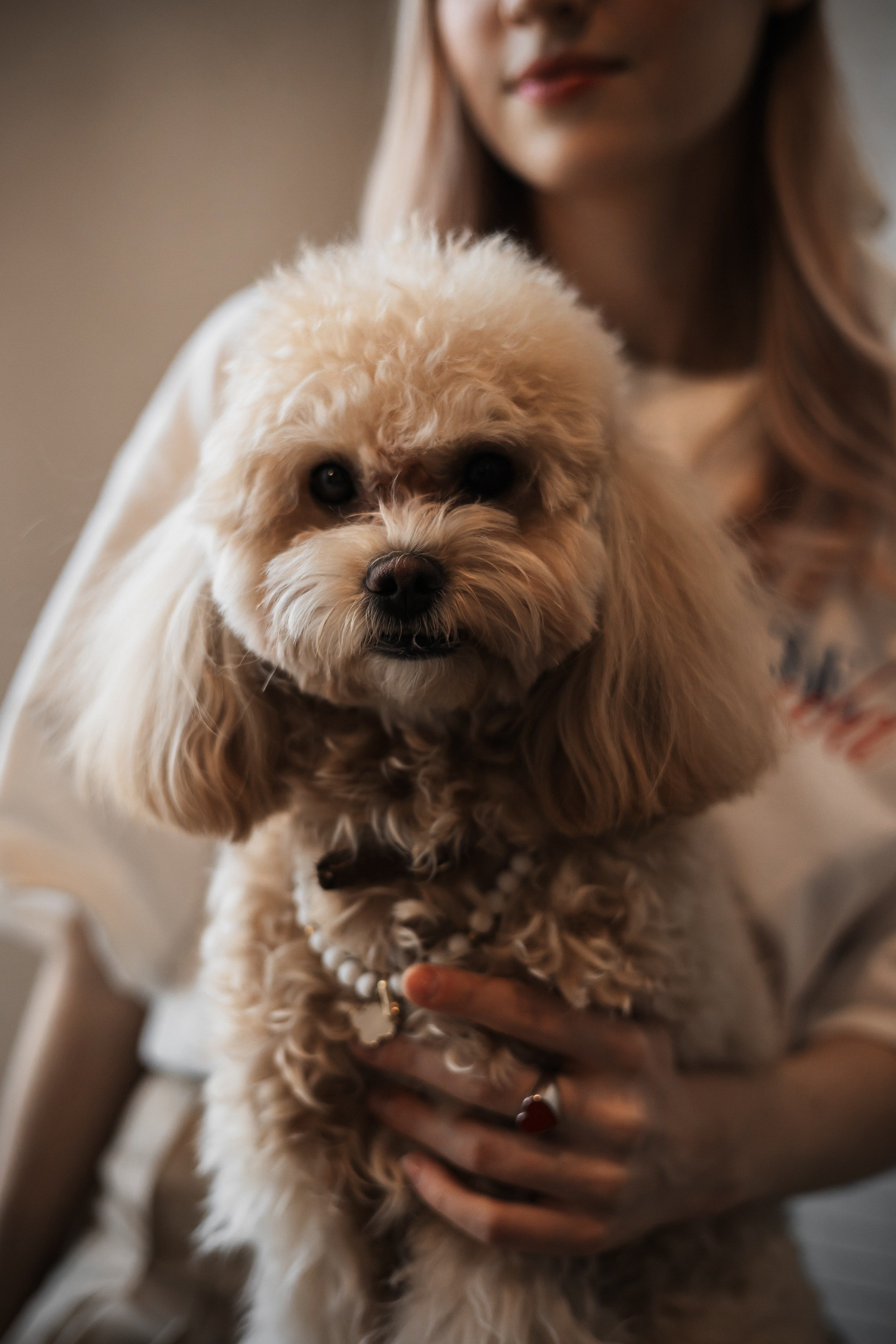 Алина — прогулка