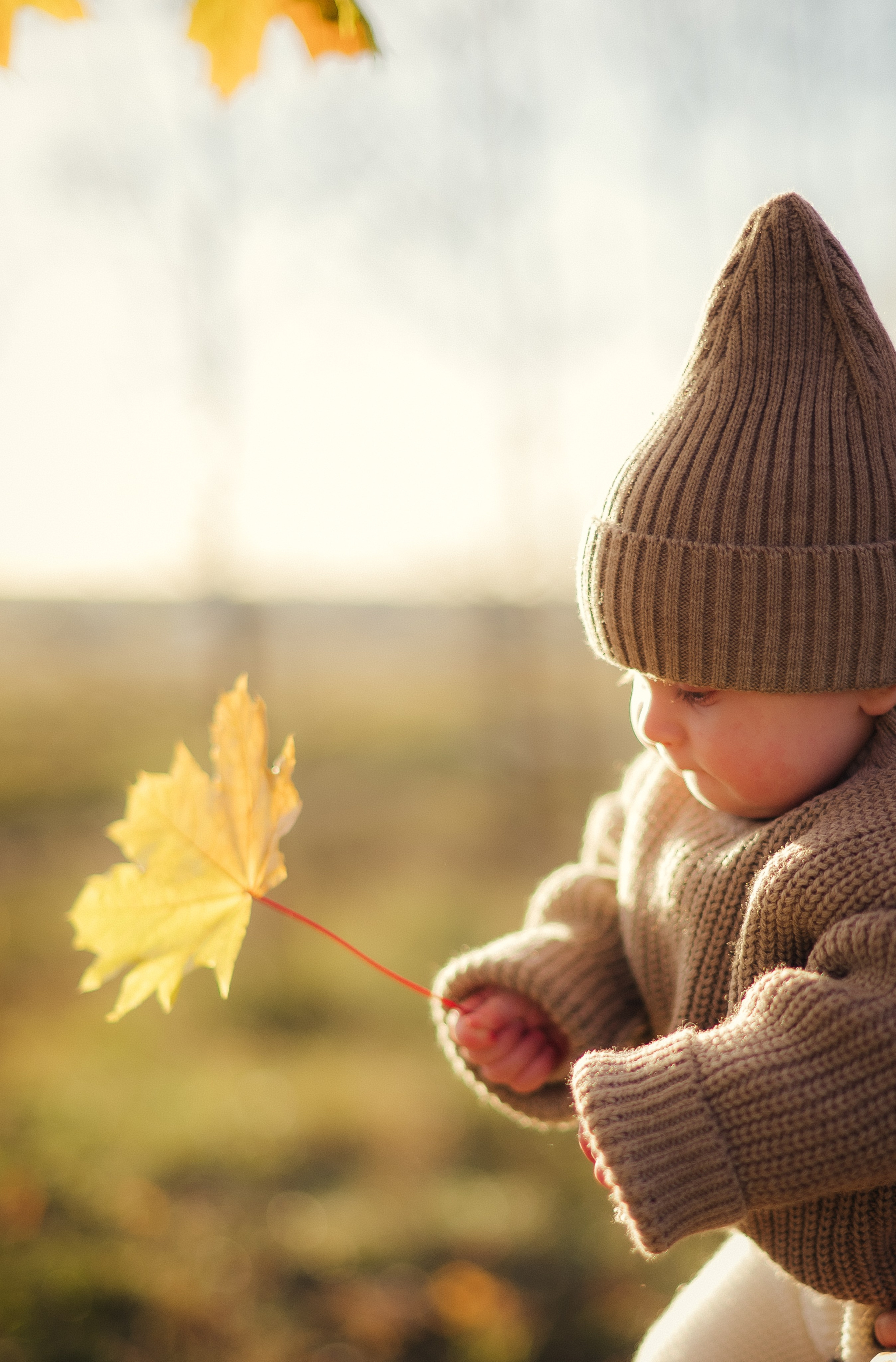 Мамочки осенью. Семейный и детский фотограф в Щелково Алена Дробот