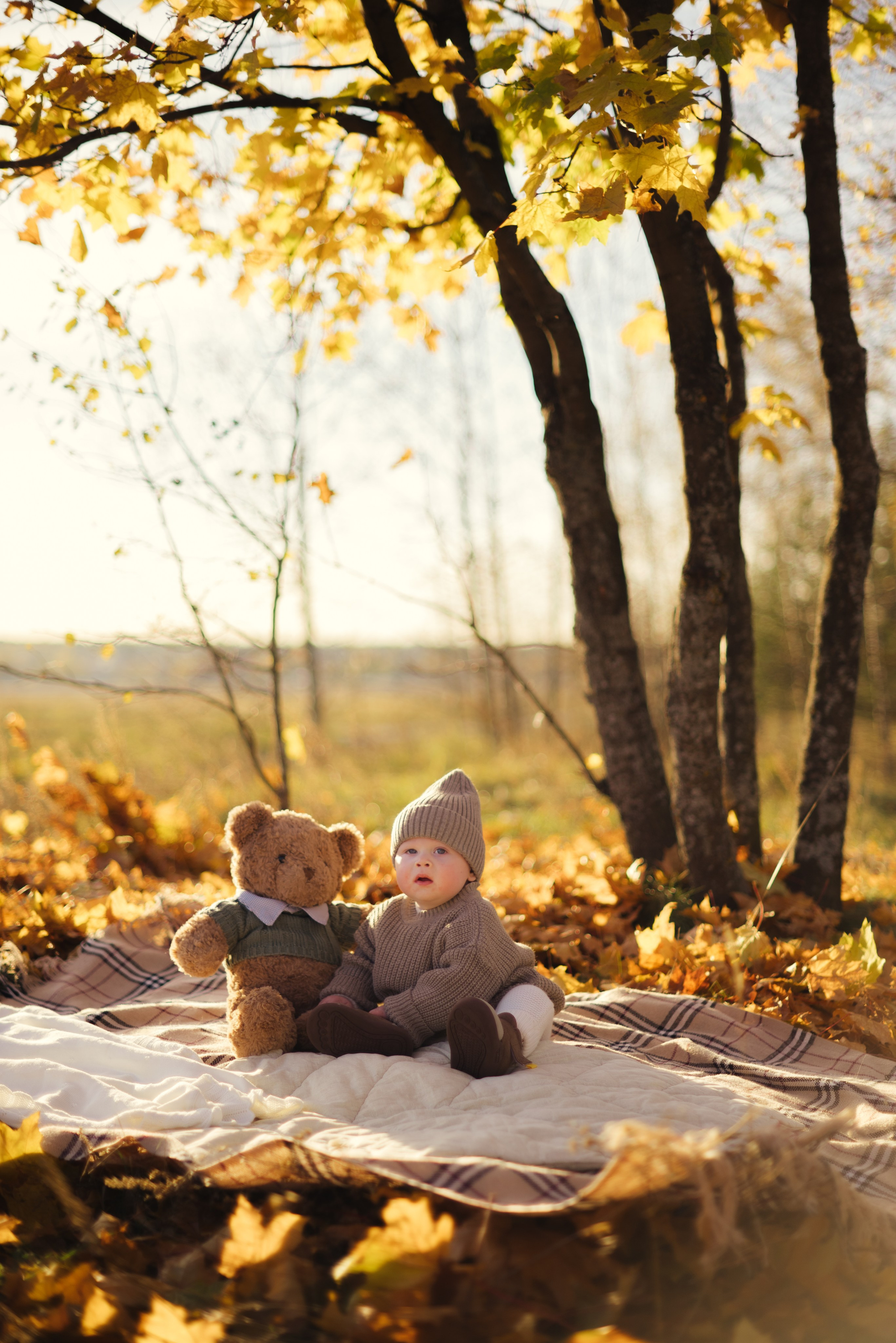 Мамочки осенью. Семейный и детский фотограф в Щелково Алена Дробот