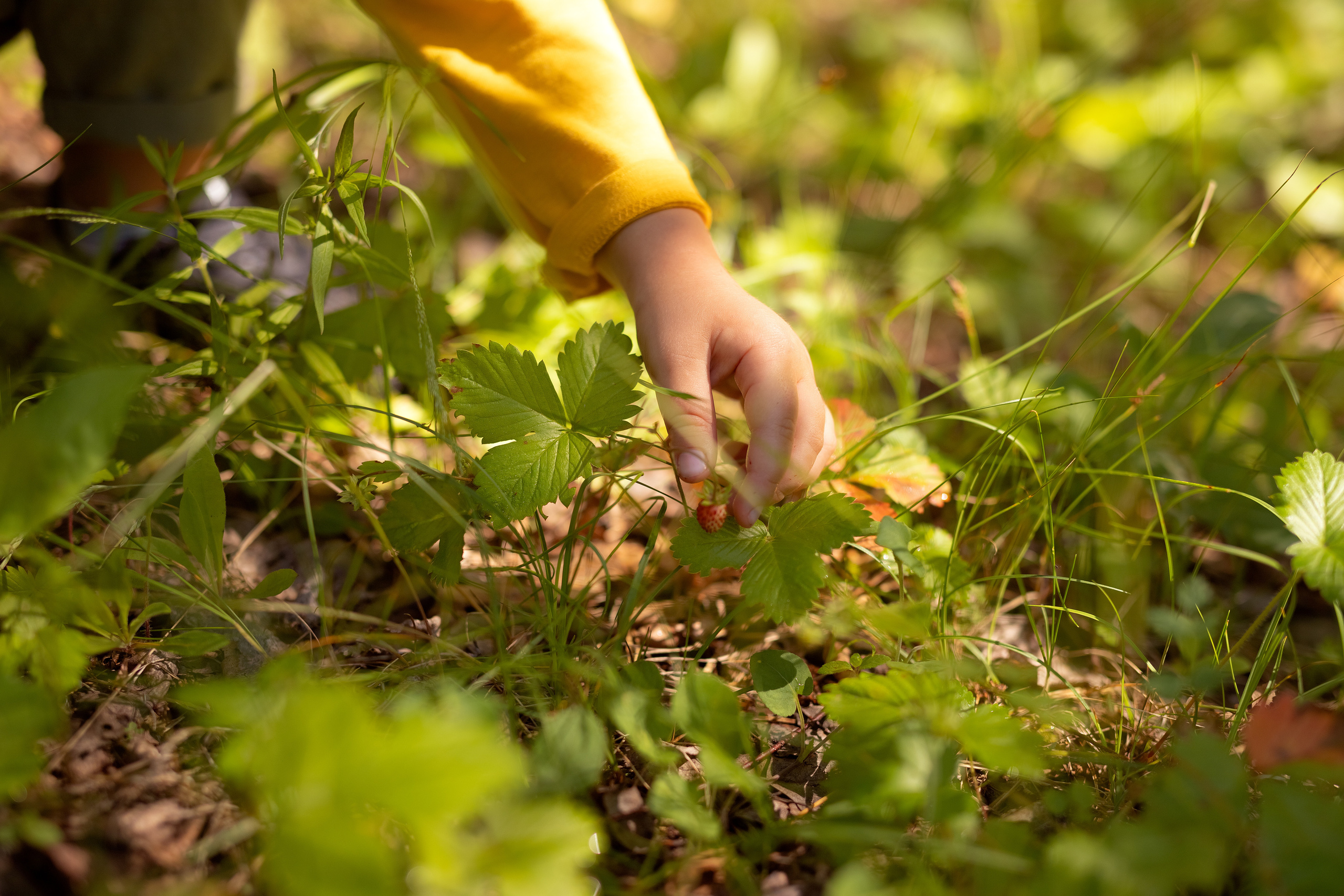 Портрет семьи. Фотокомпания «Алые паруса» выпускные альбомы Москва и МО