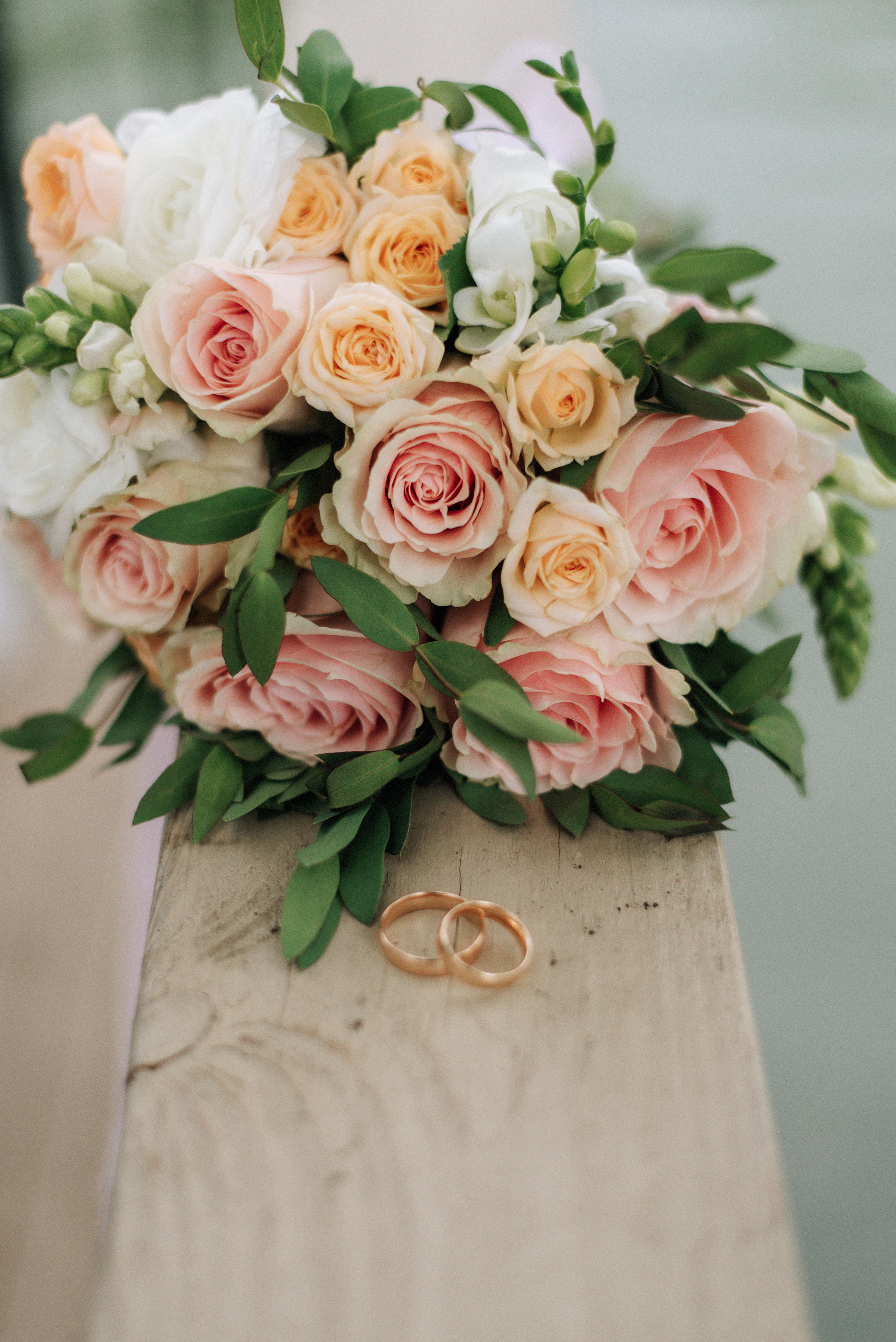 Вероника Дмитриева Фотограф Барнаул