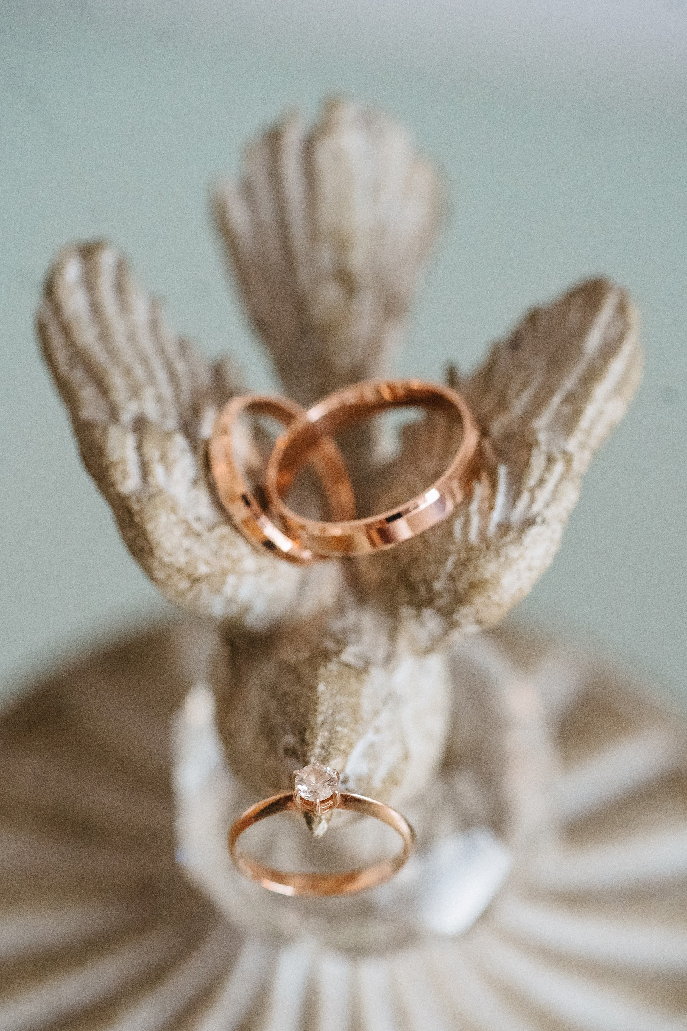 Свадебный фотограф Санкт-Петербург и Москва. Семейный и свадебный фотограф в Санкт-Петербурге и Москве