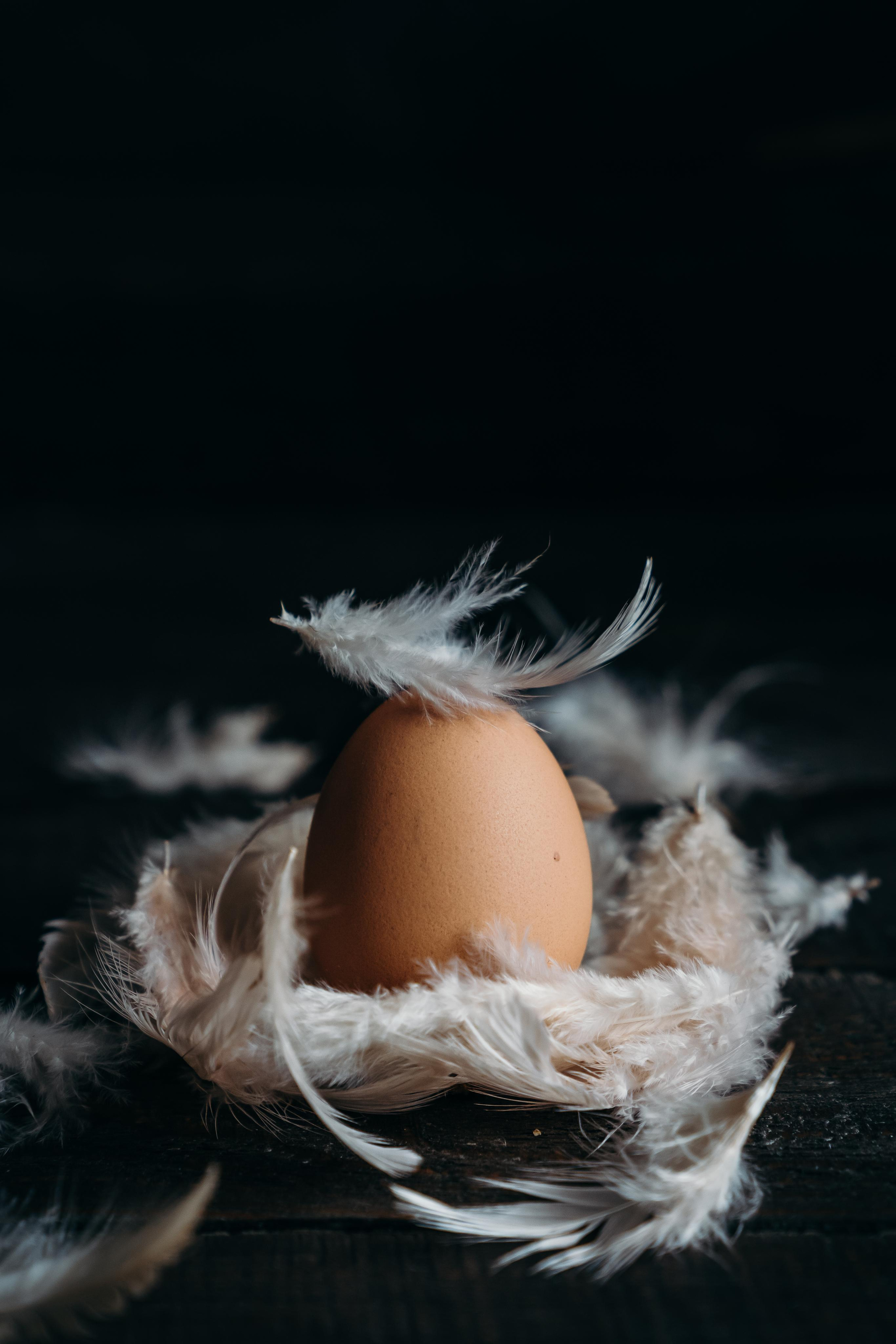 ЕДА. Контентный и свадебный фотограф в Краснодаре и Сочи Елена Плотникова