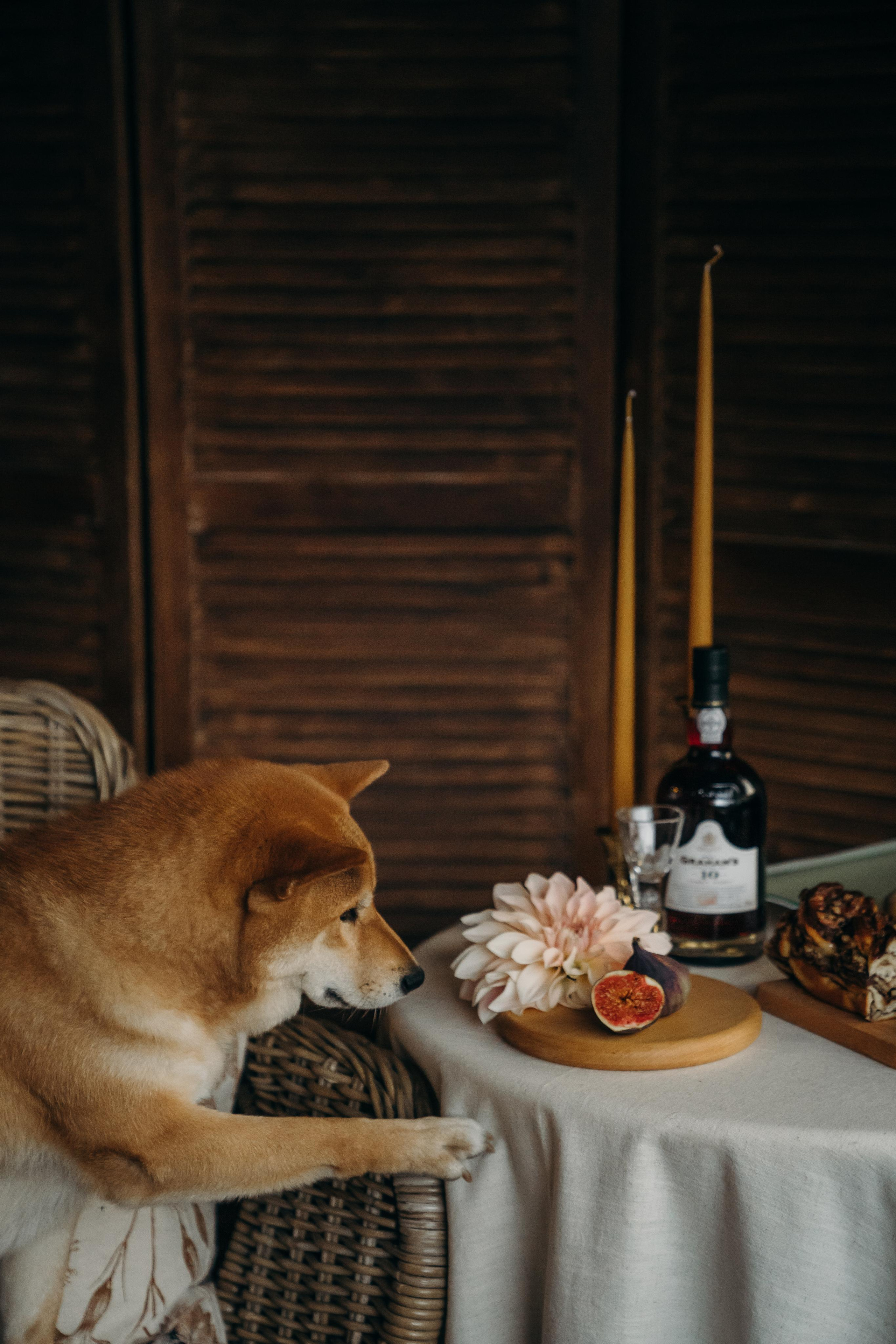 ЕДА. Контентный и свадебный фотограф в Краснодаре и Сочи Елена Плотникова