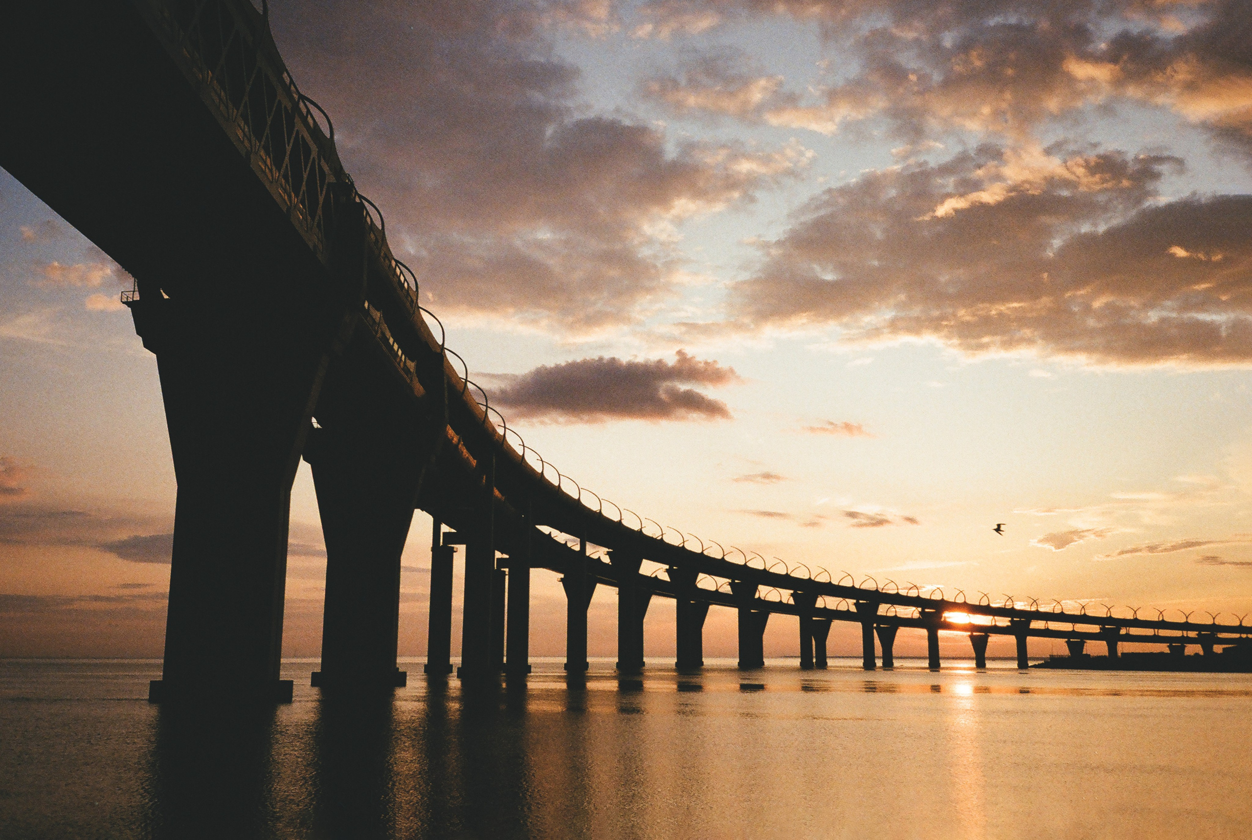 Фотографии цветные. Свадебный и семейный пленочный фотограф в Петербурге Истомина Ирина