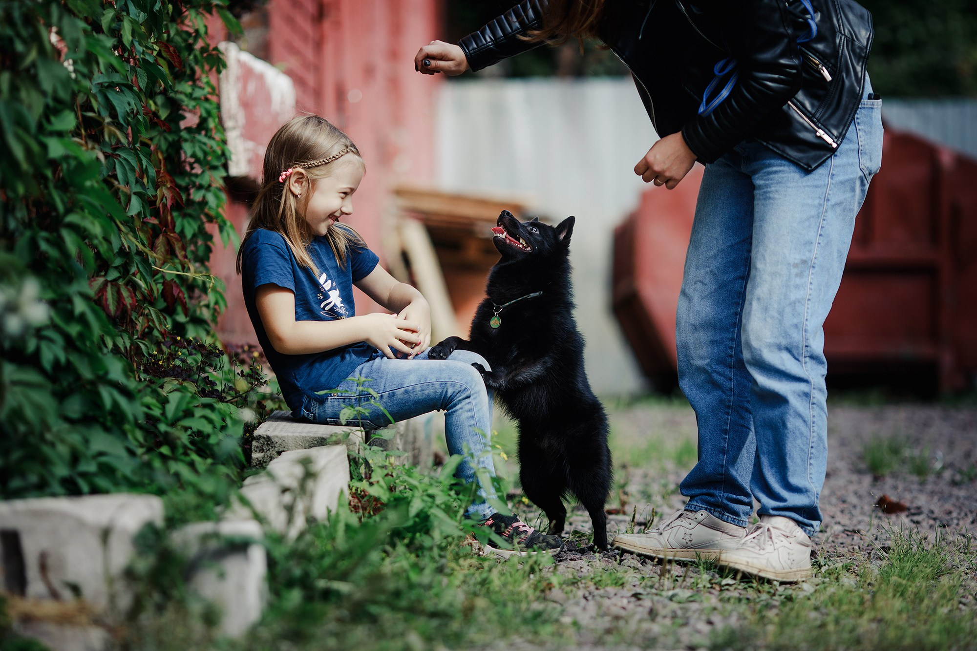 Саша, Маша и шипперке Йети. Фотограф-анималист Mary Mart — Москва, Питер