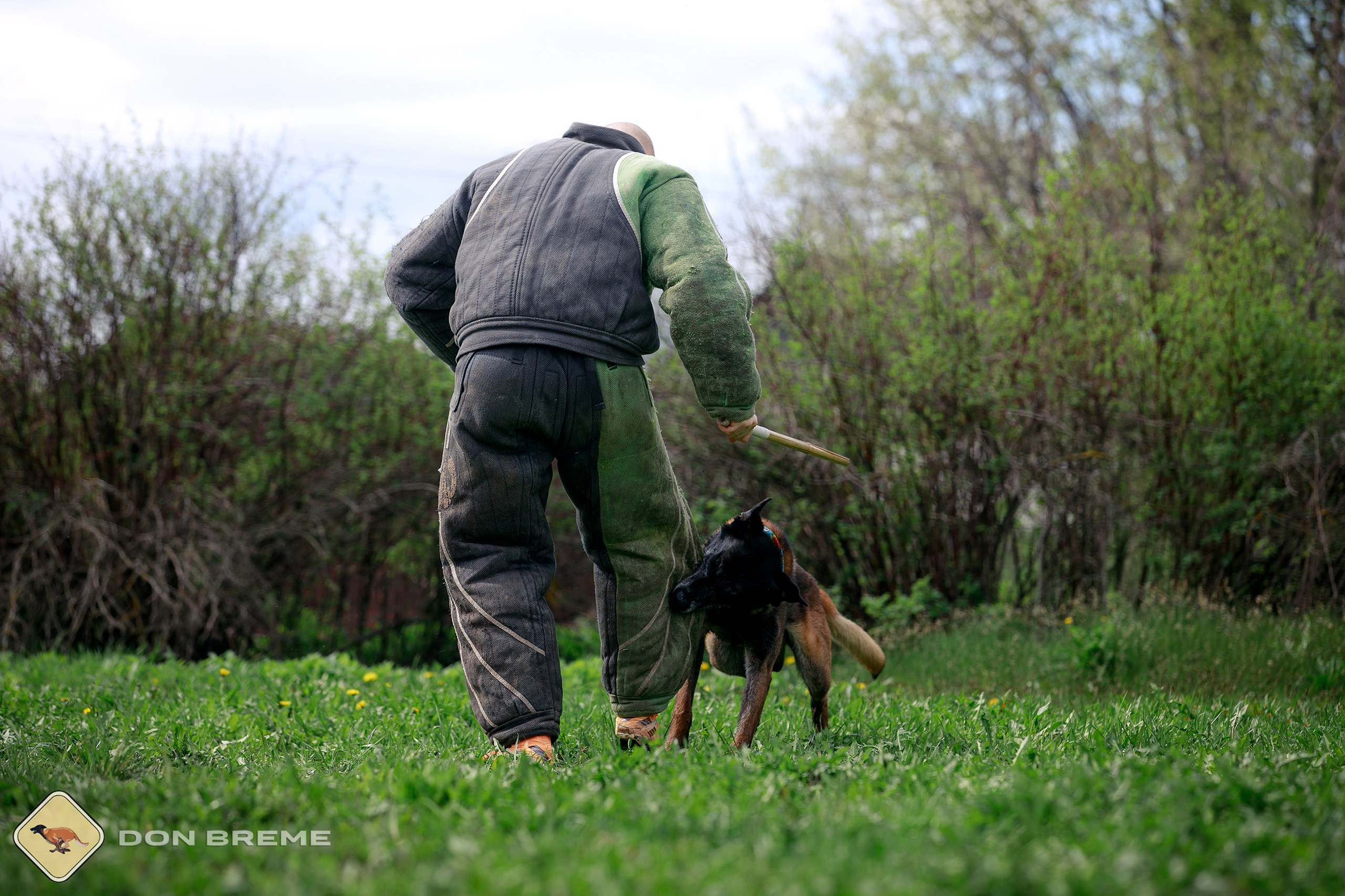 Семинар для фигурантов, день 2. Фотограф-анималист Mary Mart — Москва, Питер