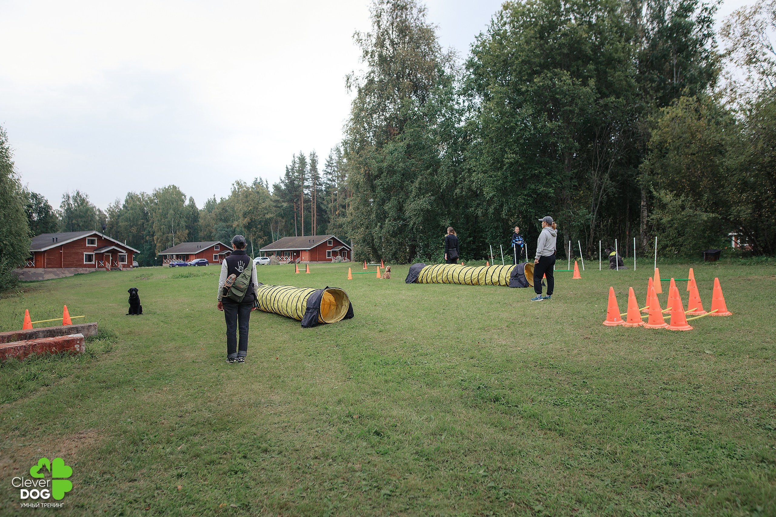 Кинологический лагерь CleverDog, 2024. Фотограф-анималист Mary Mart — Москва, Питер