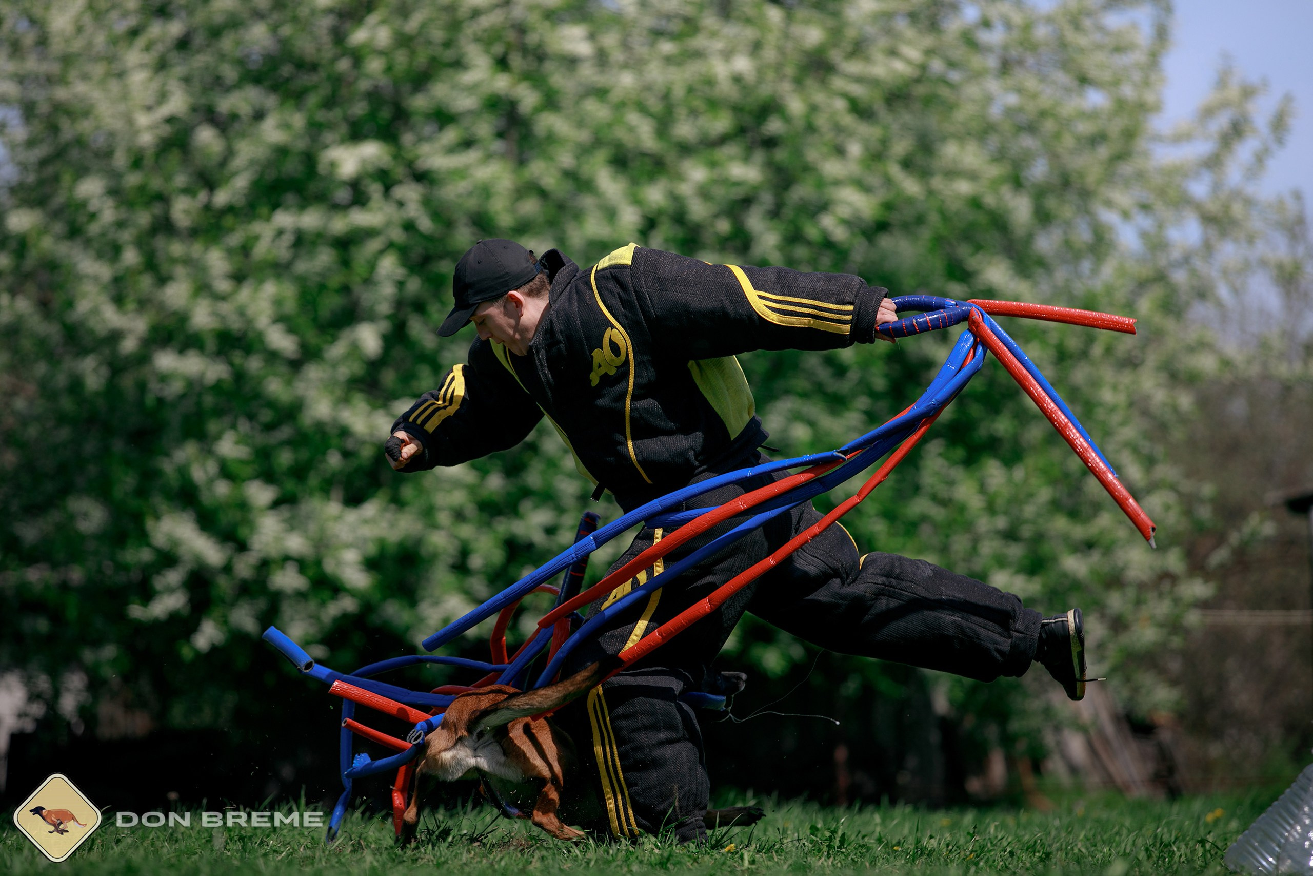 Семинар для фигурантов, день 4. Фотограф-анималист Mary Mart — Москва, Питер