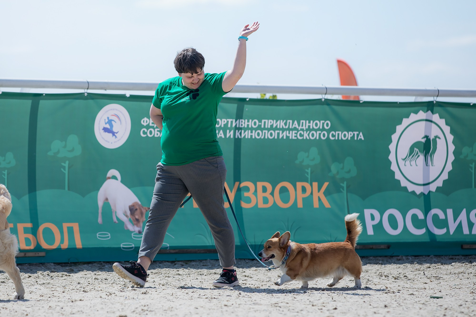 Показательные выступления по NoseWork на выставке «Россия». Фотограф-анималист Mary Mart — Москва, Питер