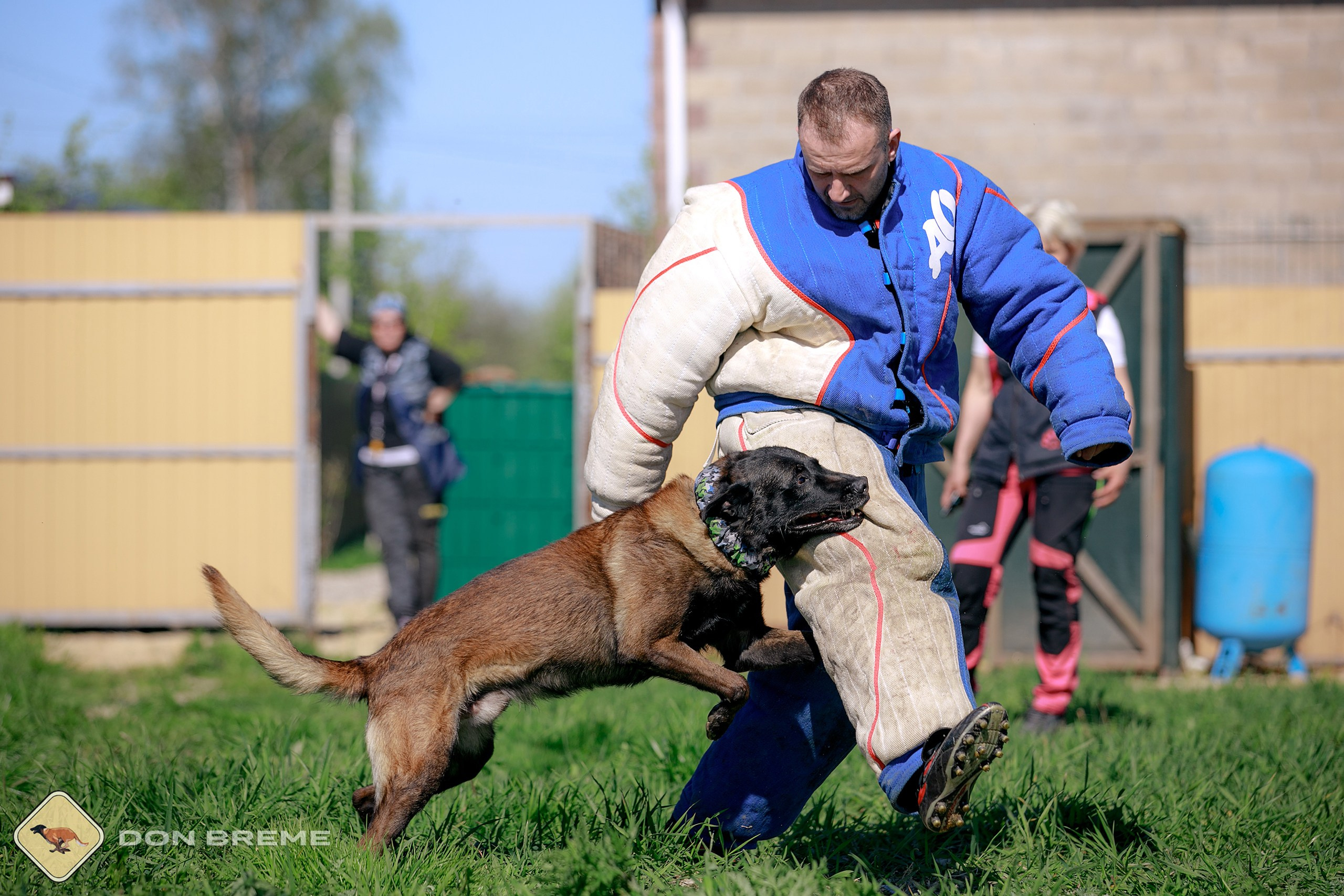 Семинар для фигурантов, день 3. Фотограф-анималист Mary Mart — Москва, Питер