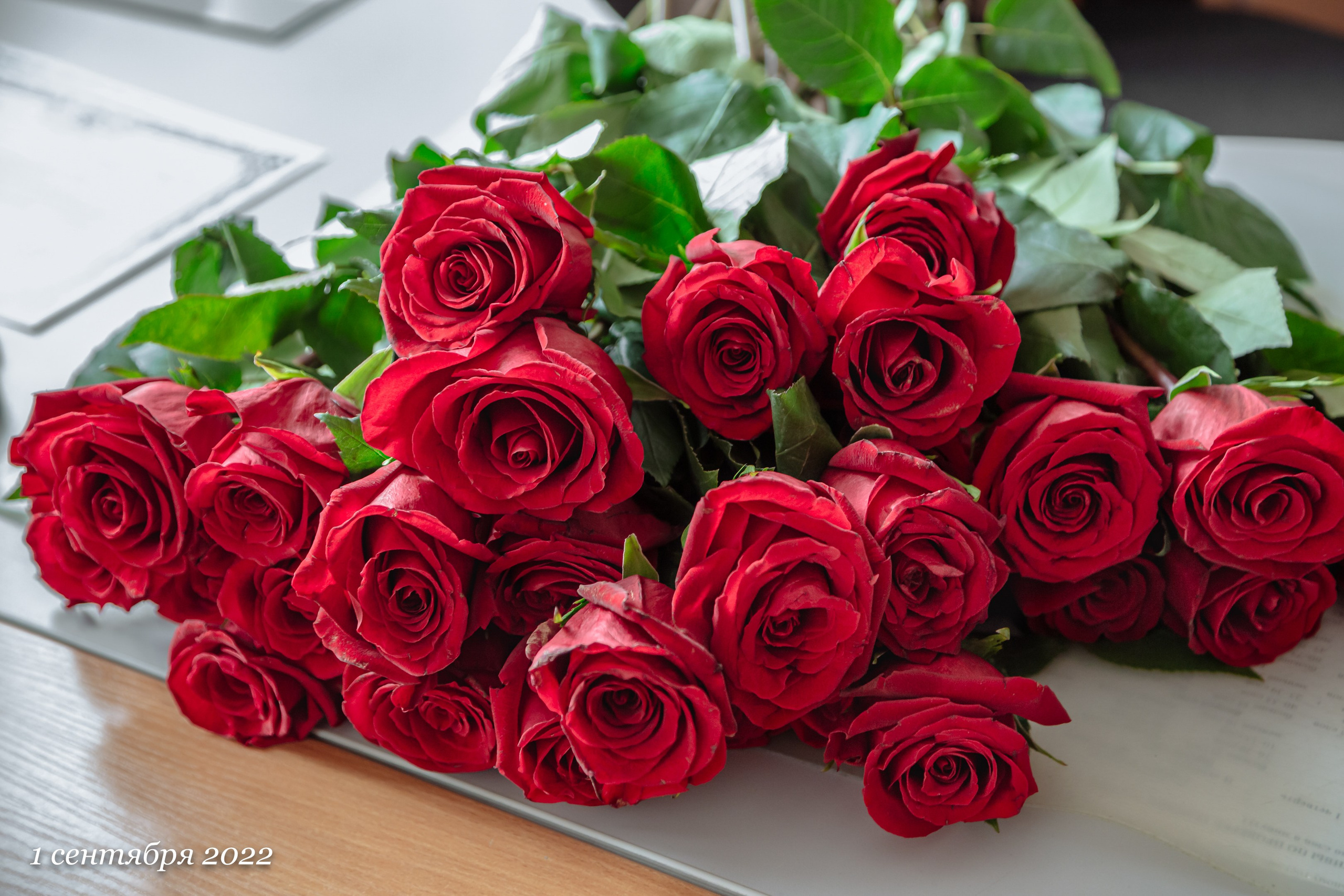 Репортаж в школе на 1 сентября. GagarinProArt