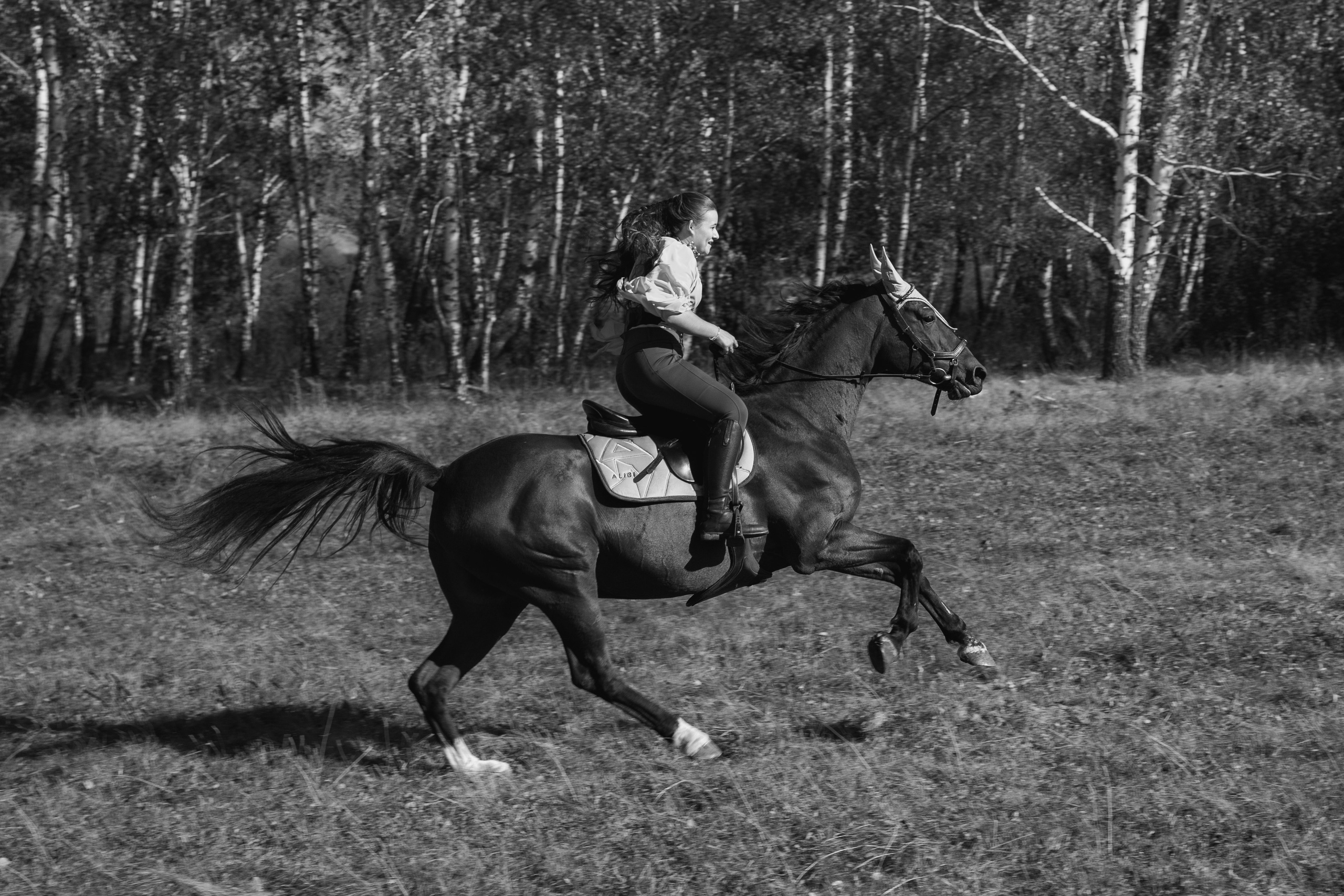 Фотосессия с лошадьми