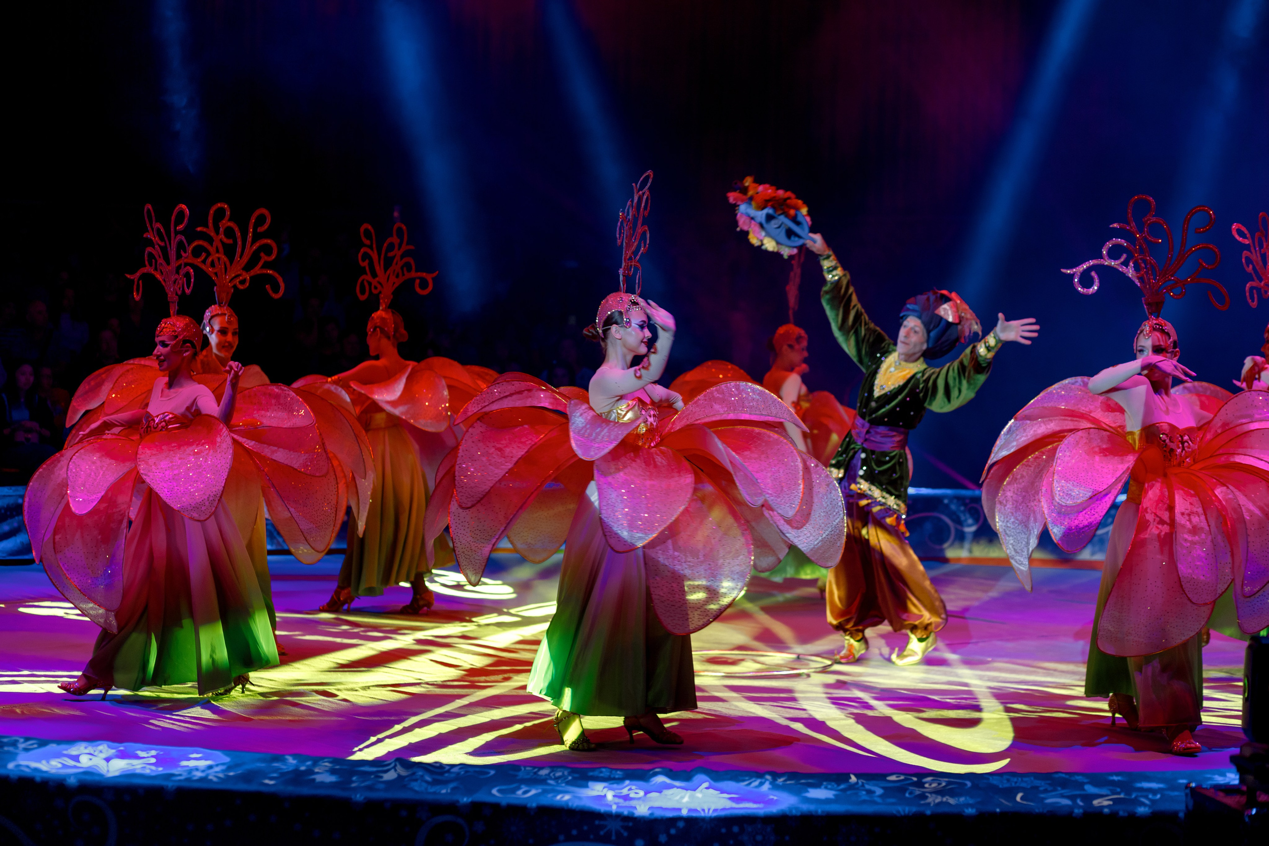 Цирк Moretti в Иркутске. Свадебный фотограф Иркутск, репортажный фотограф Иркутск